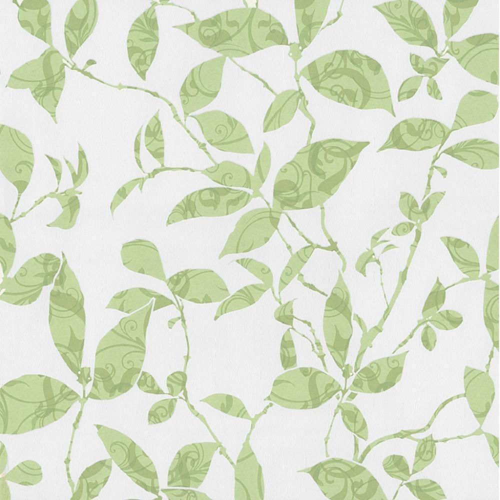 1000x1000 Modern Green Wallpaper Texture