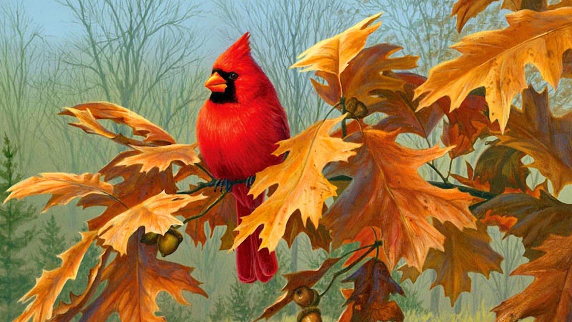 Autumn Beautiful Bird Wallpapers - Top Free Autumn Beautiful Bird ...