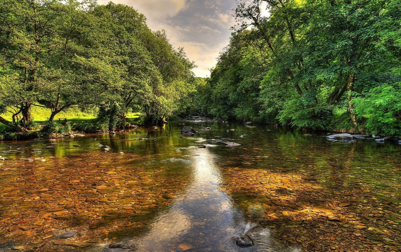 1280x804 Awesome River Stones & Trees wallpaper. Awesome River Stones & Trees