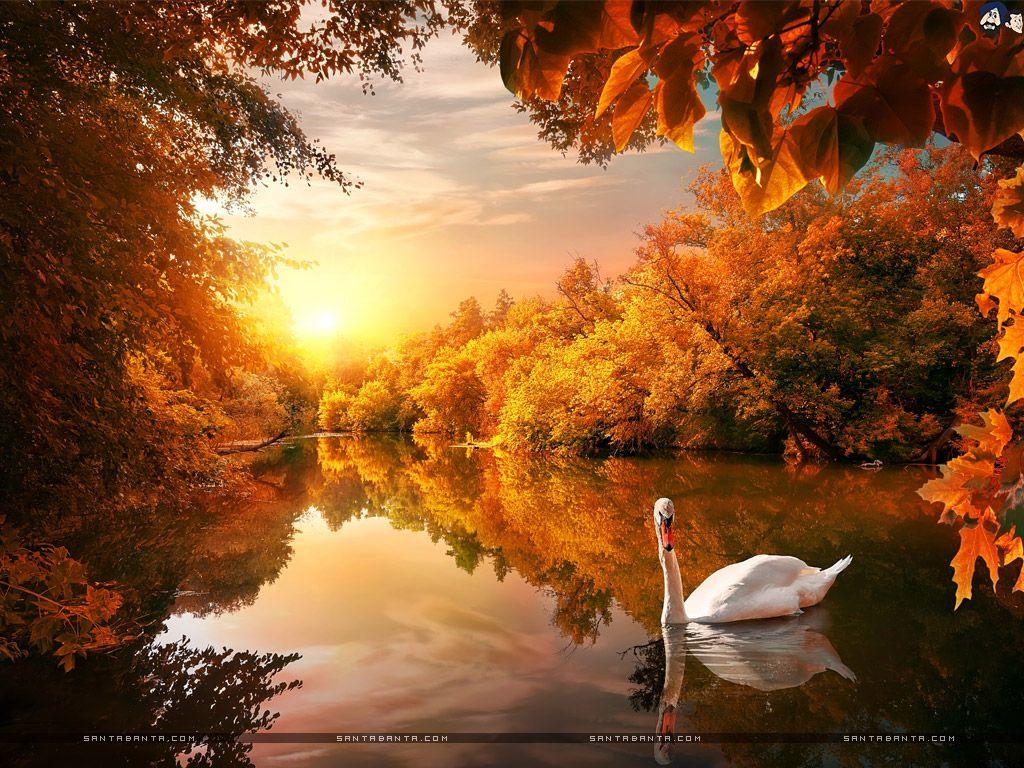 1024x768 Full HD Wide Nature Wallpaper & Image I Beautiful Nature Photo & Pics