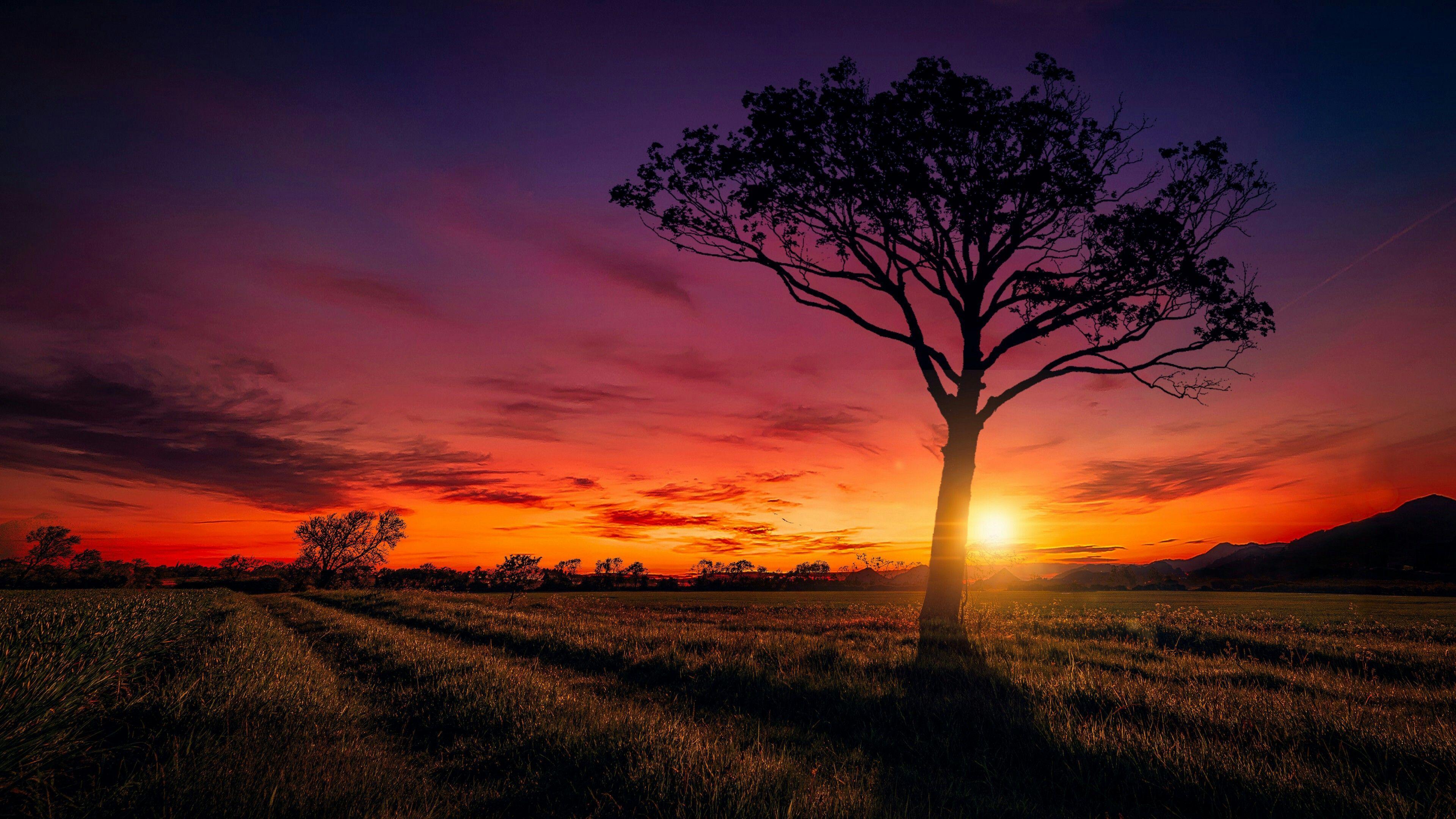 3840x2160 Sunset Landscape Scenery Wallpaper