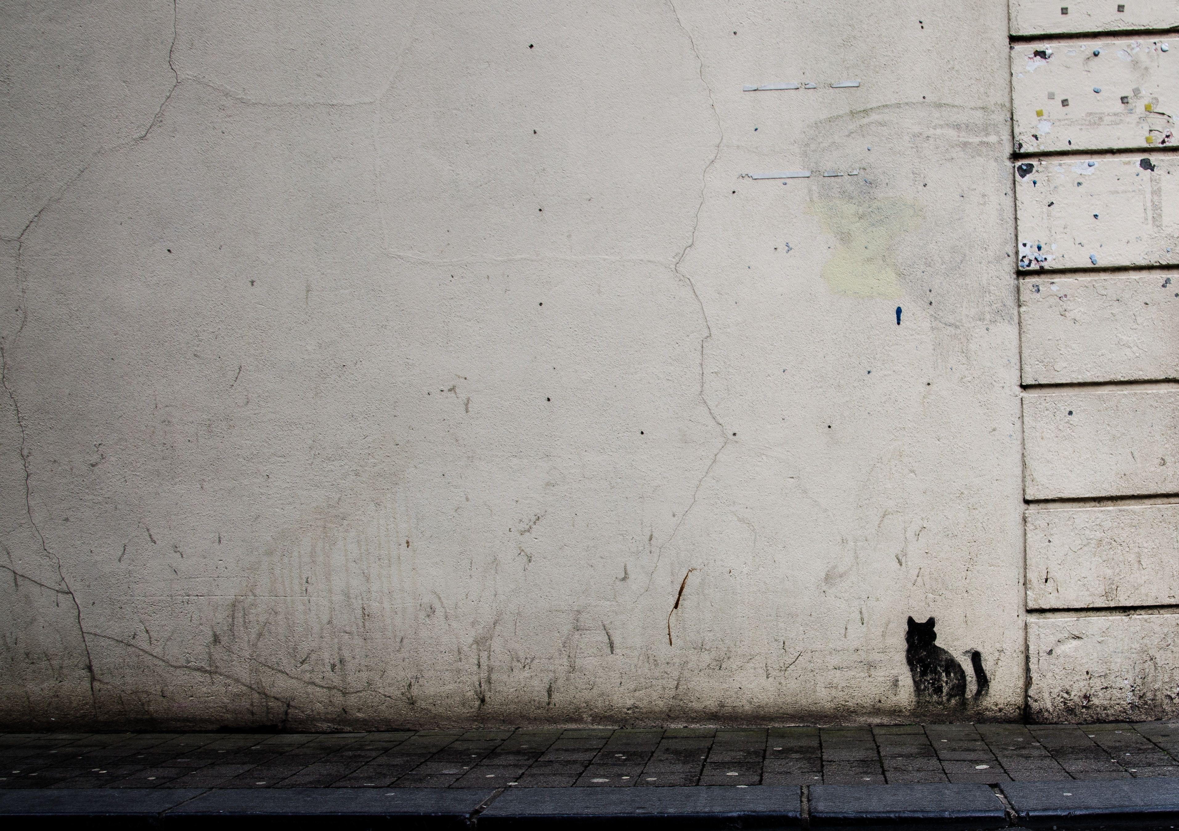 3827x2697 3827x2697 #rough, #tumblr, #surface, #wallpaper, #background tumblr, #cat, #wall, #dirty, #textured, #tumblr background, #building, #art, #grunge, #stucco, #tumblr background, #aged, #Creative Commons image, #decay, #cement, #tumblr https://wallpaperaccess.com/full/4182856.jpg