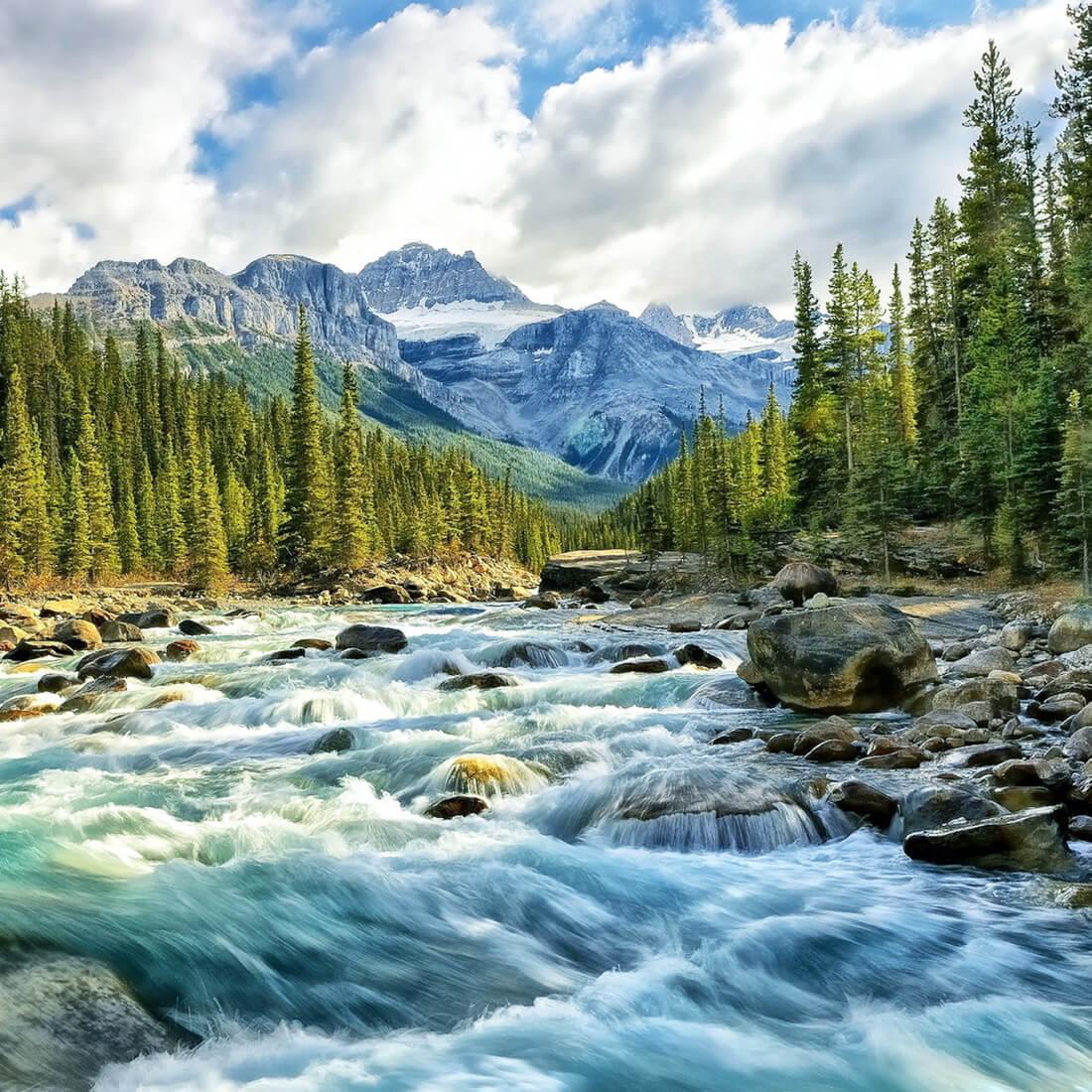 1100x1100 River Forest Wallpaper Free HD Wallpaper