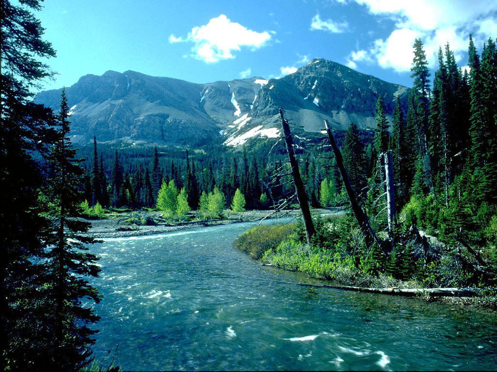 1600x1200 River. Free Download HD Desktop Wallpaper Background Image