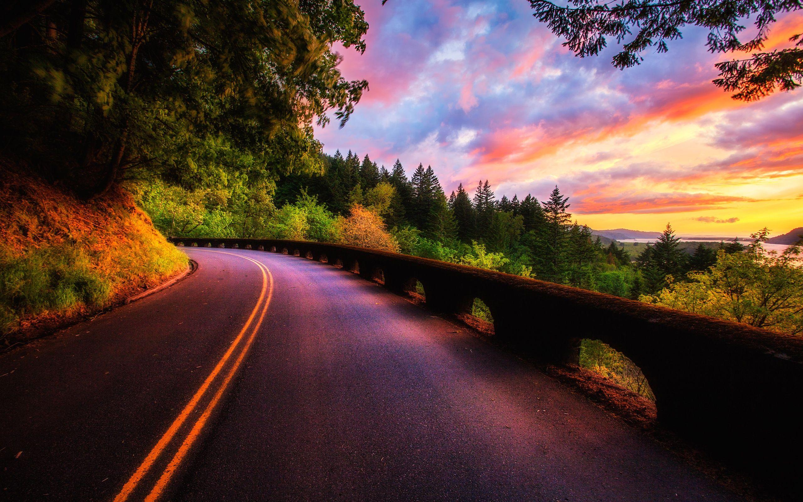 2560x1600 Beautiful Sunset Scenery, Forest, Trees, Road, Clouds Colors 750x1334 IPhone 8 7 6 6S Wallpaper, Background, Picture, Image