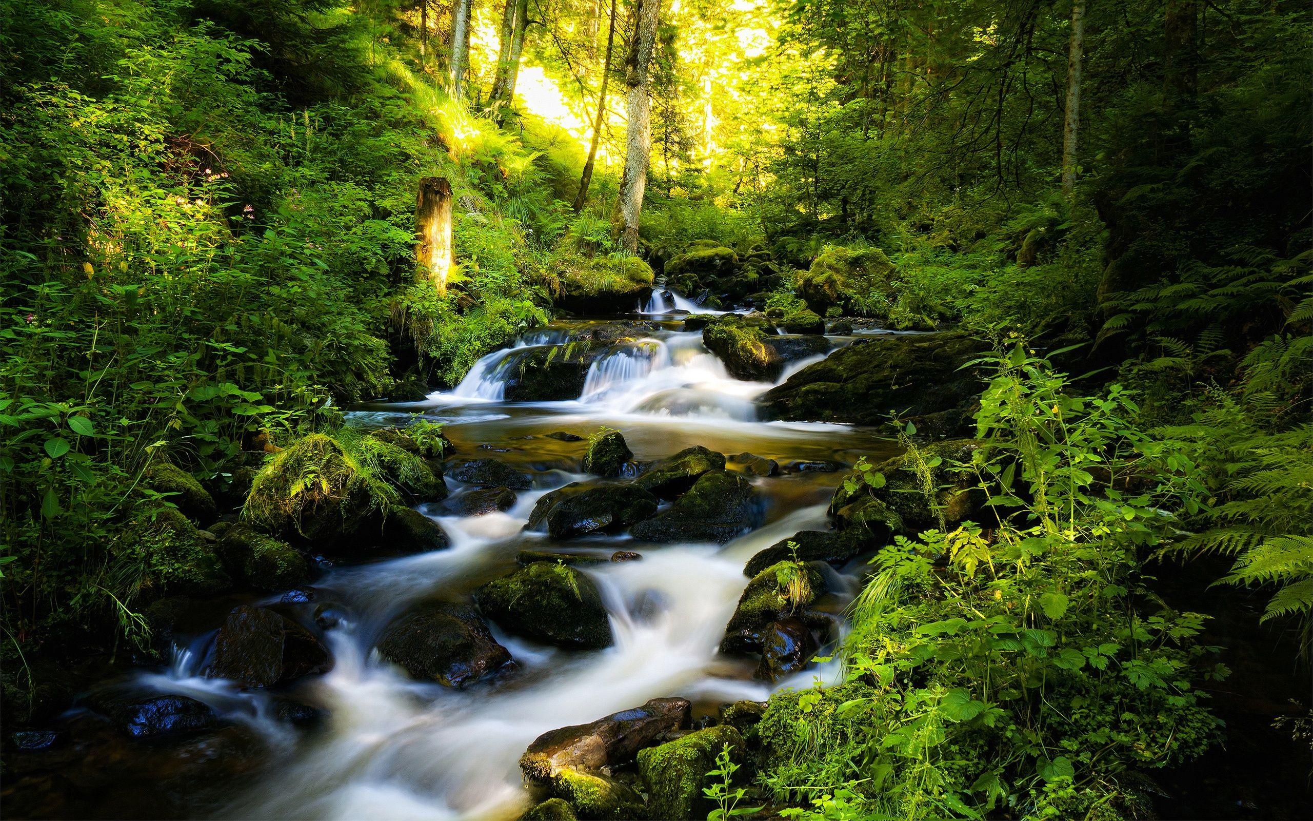 2560x1600 Free download Awesome Nature River Wallpaper HD WallpaperLepi [2560x1600] for your Desktop, Mobile & Tablet. Explore River Wallpaper HD. Autumn HD Widescreen Wallpaper, River in Forest Wallpaper, River Wallpaper Desktop