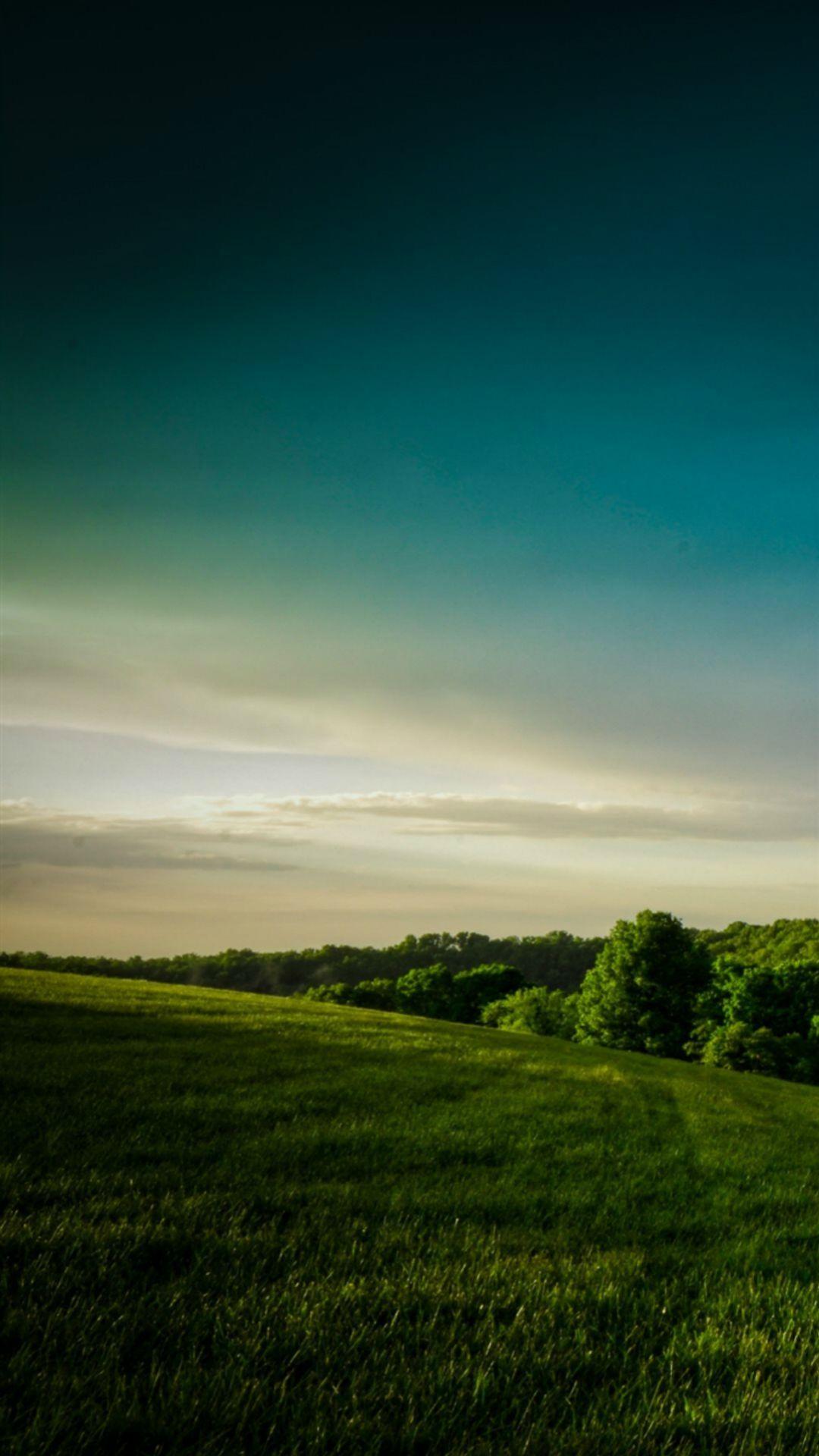 1080x1920 Calm Broaden Wild Grass Hill Field .com
