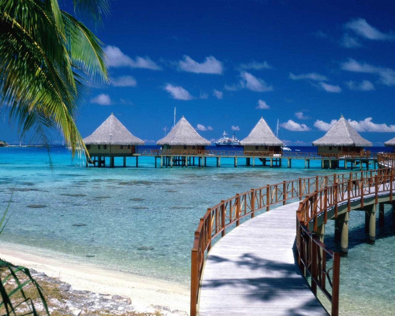 1280x1024 Free download download 1280x1024 tropical island beach scenery palace for Sunbathing [1280x1024] for your Desktop, Mobile & Tablet. Explore Free Tropical Beaches Wallpaper Download. Tropical Beach Wallpaper, Tropical Picture
