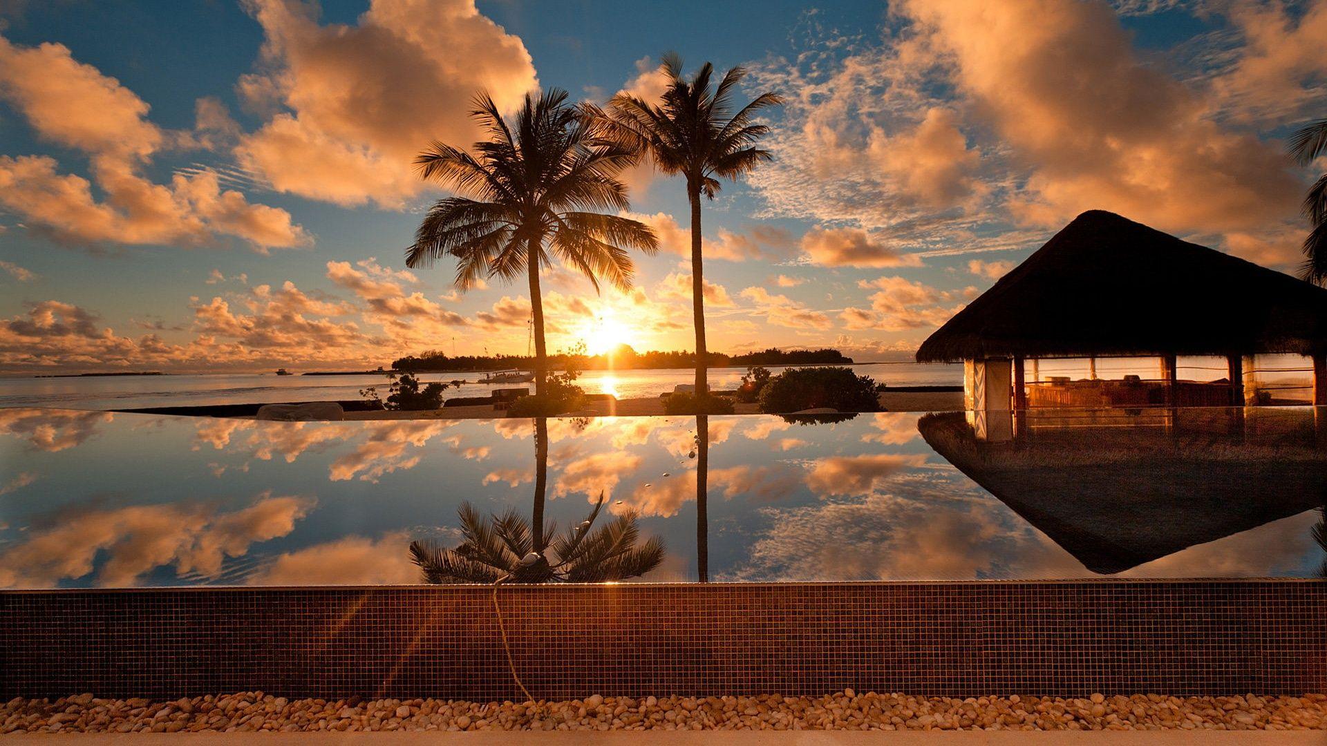 1920x1080 Tropical ocean scenery, palm tree, house, dusk Definition Wallpaper