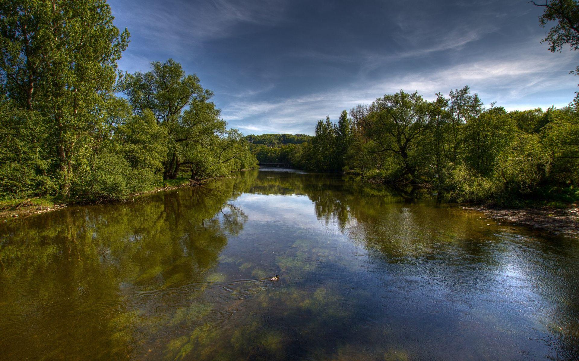 1920x1200 Awesome River Duck Trees Sky wallpaper. Awesome River Duck Trees Sky