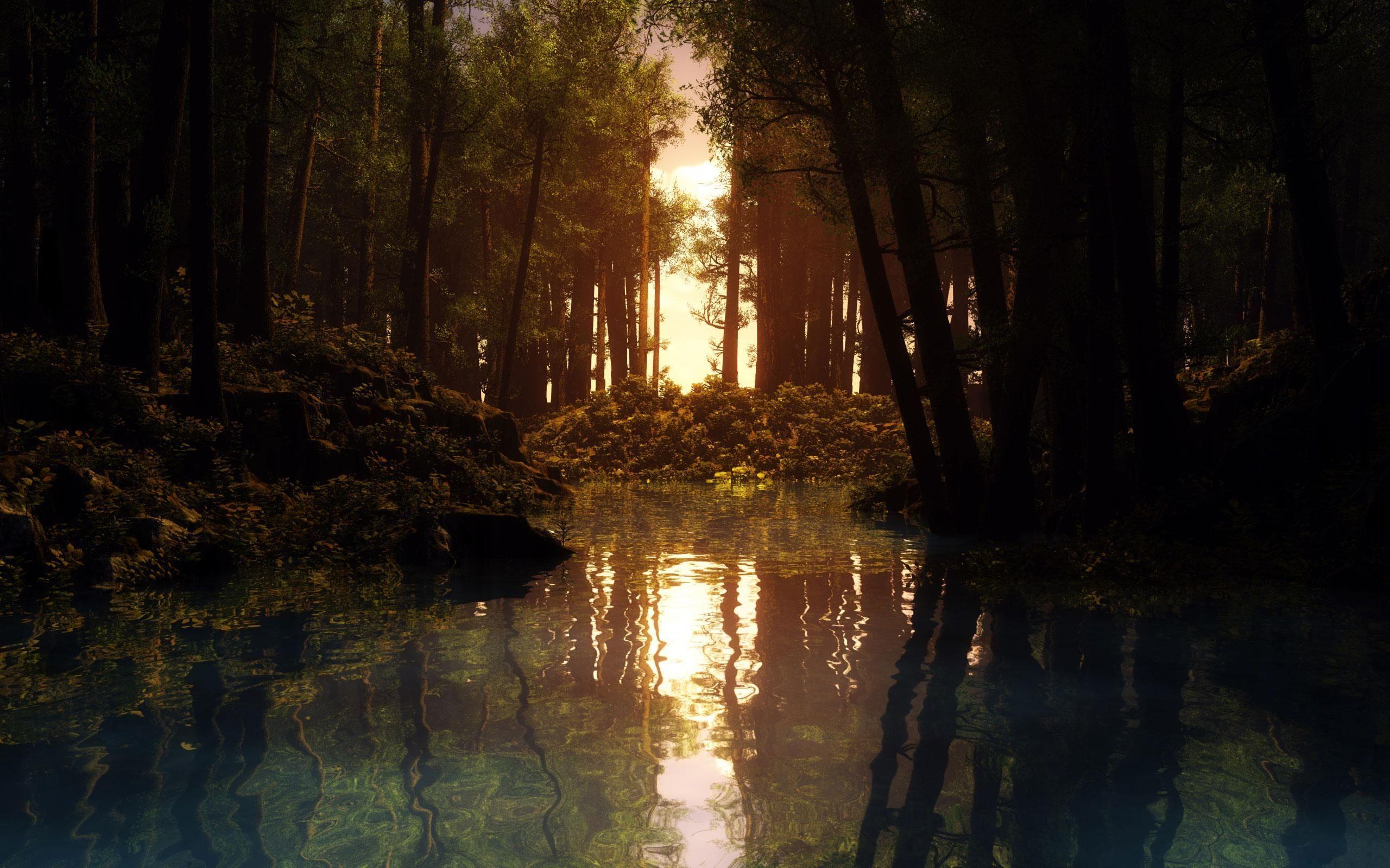 2560x1600 awesome River Forest Sunset Desktop Background. HD nature wallpaper, Nature wallpaper, Nature hd