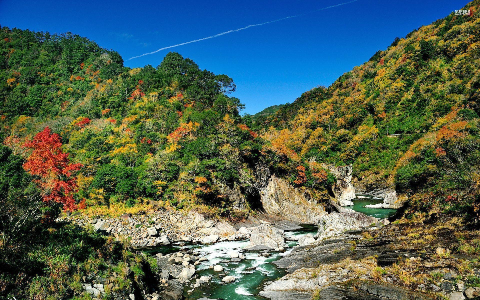 1920x1200 Awesome Colorful Trees & River wallpaper. Awesome Colorful Trees & River