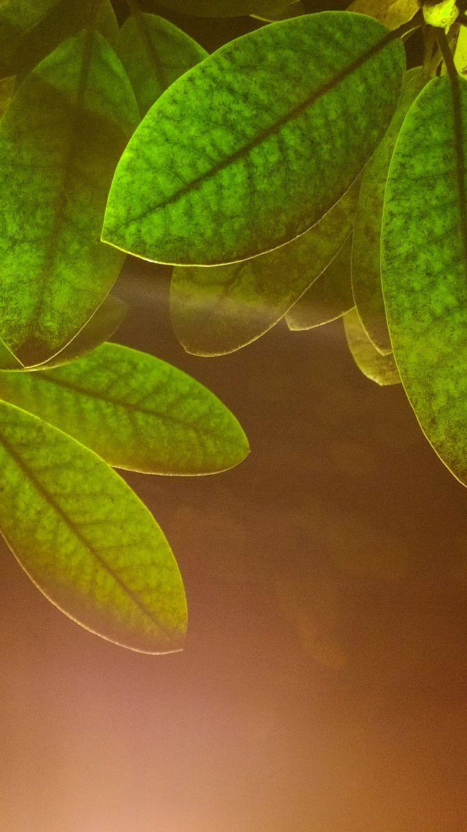 680x1209 Wallpaper for Lumia 930