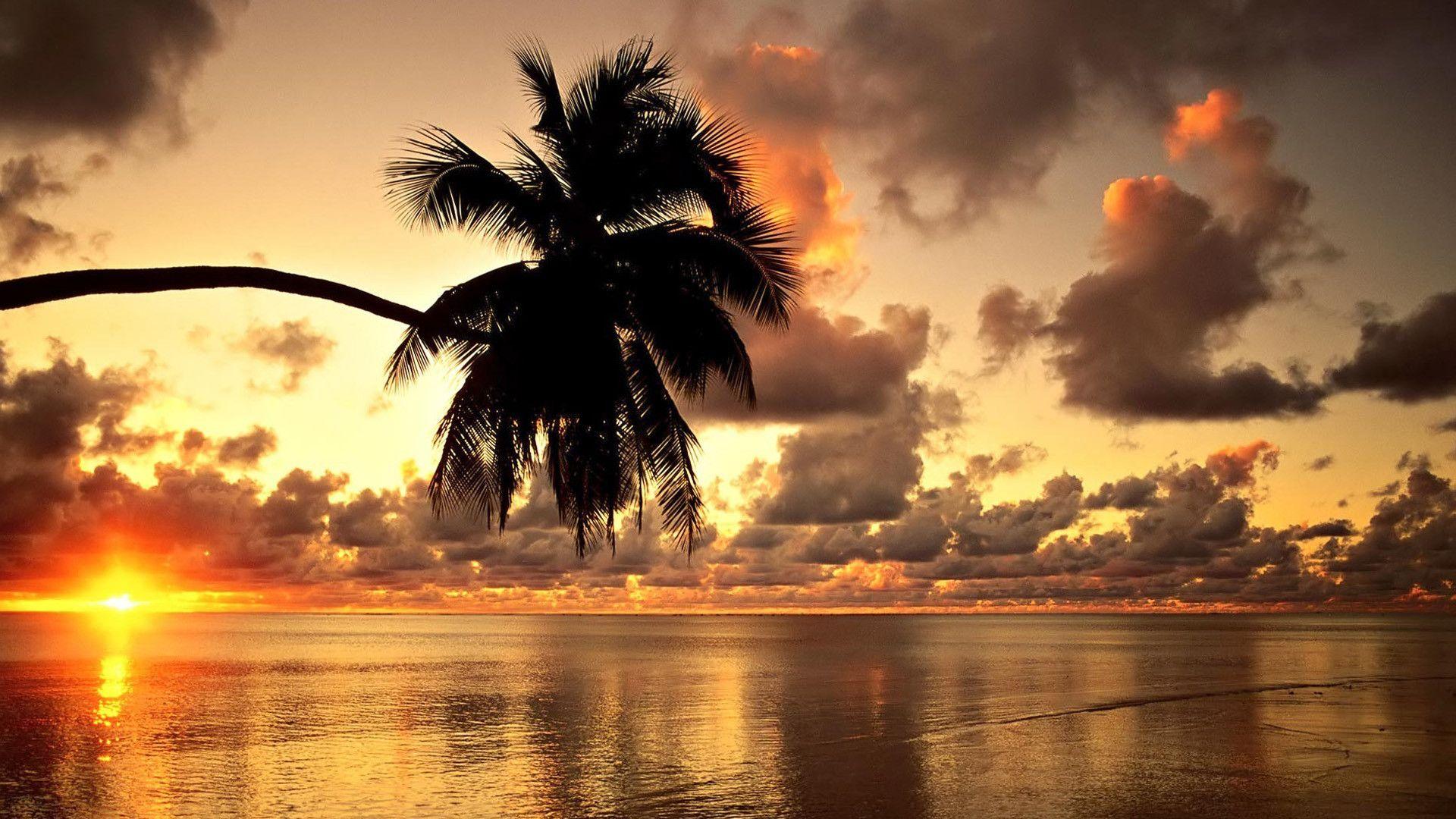 1920x1080 Sunset Wallpaper
