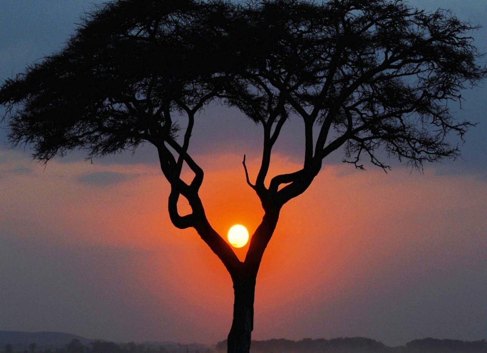 1600x1158 Beautiful Sunset Scenery HD Wallpaper