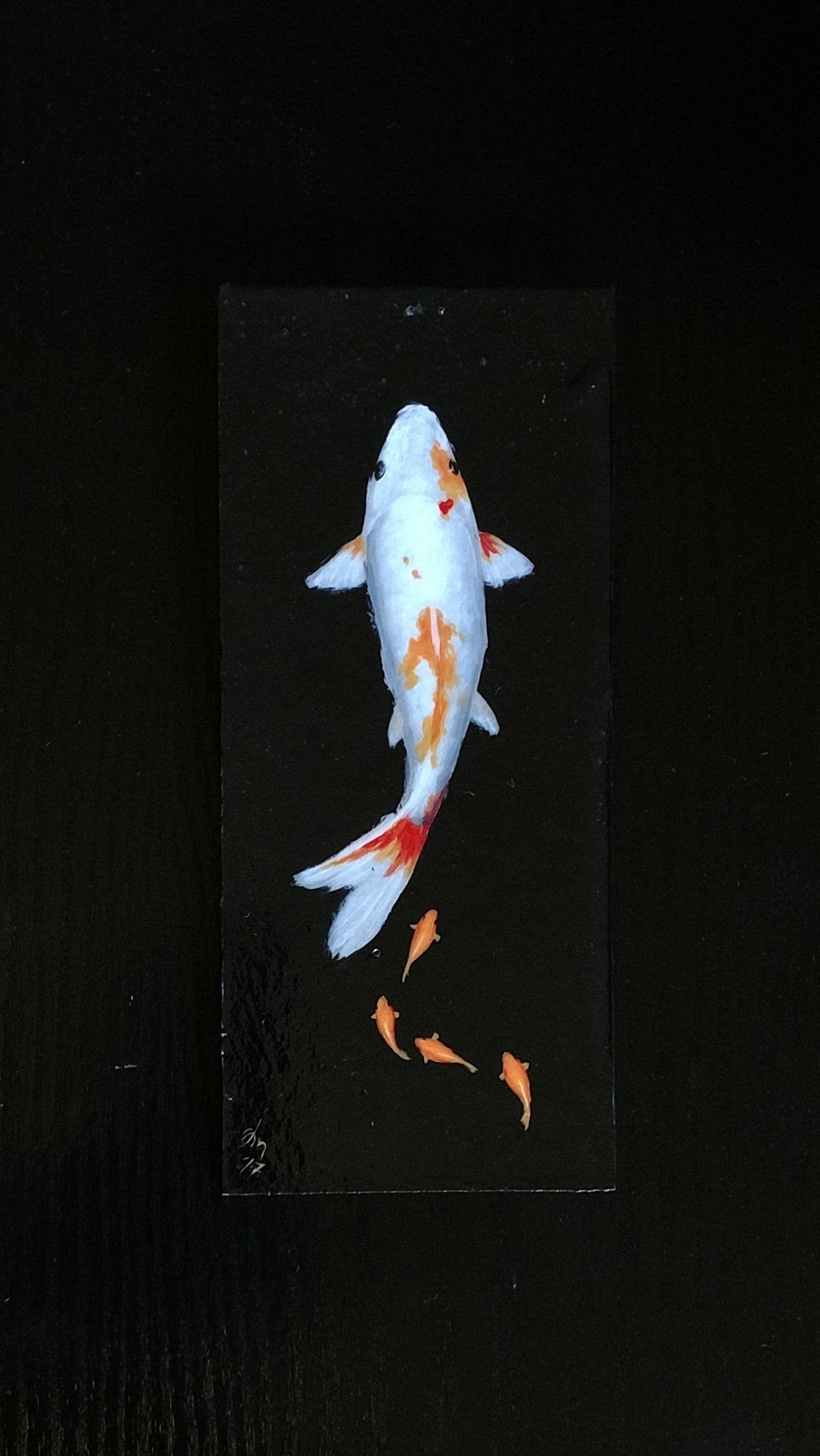 1447x2569 Koi fish iphone 5 wallpaper