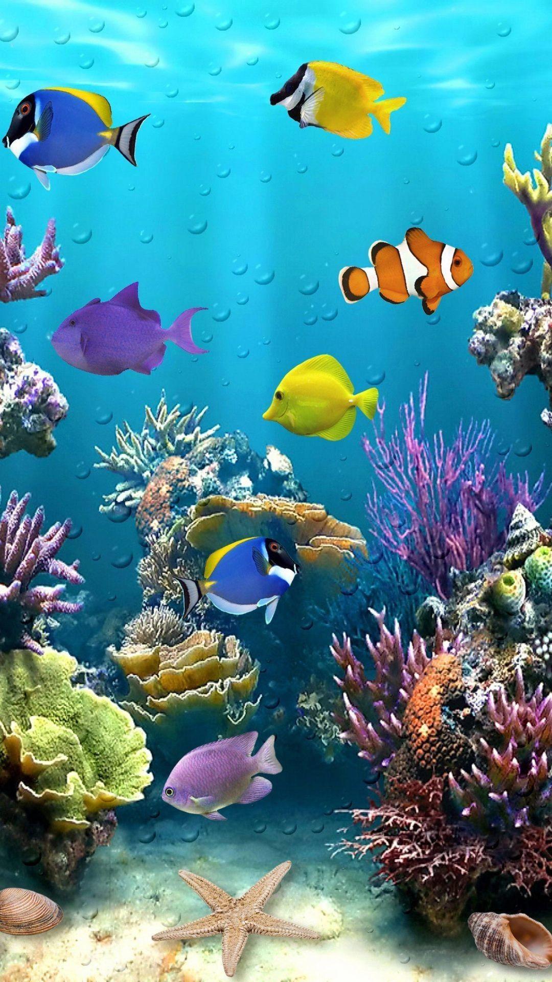 1080x1920 Koi Fish Live, iPhone, Desktop HD Background / Wallpaper (1080p, 4k) (1080x1920) (2020)