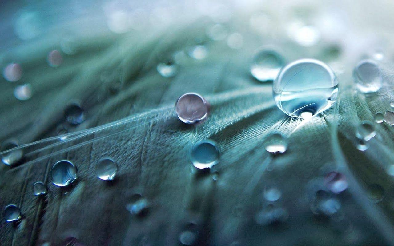1280x800 Free Download HD Wallpaper For Android Galaxy Tab New Up Wallpaper 4k HD Wallpaper