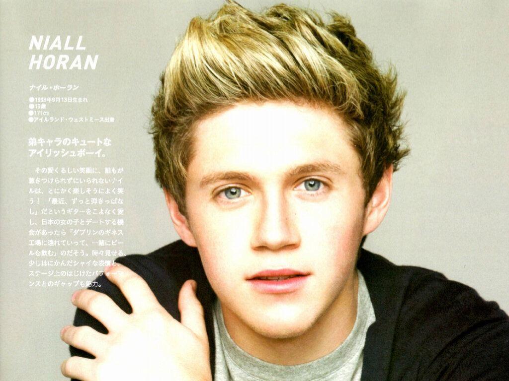 1024x768 Niall Horan Twitter Background. Niall Horan One Direction Wallpaper, Niall Horan Wallpaper and Niall Horan Little Things Wallpaper