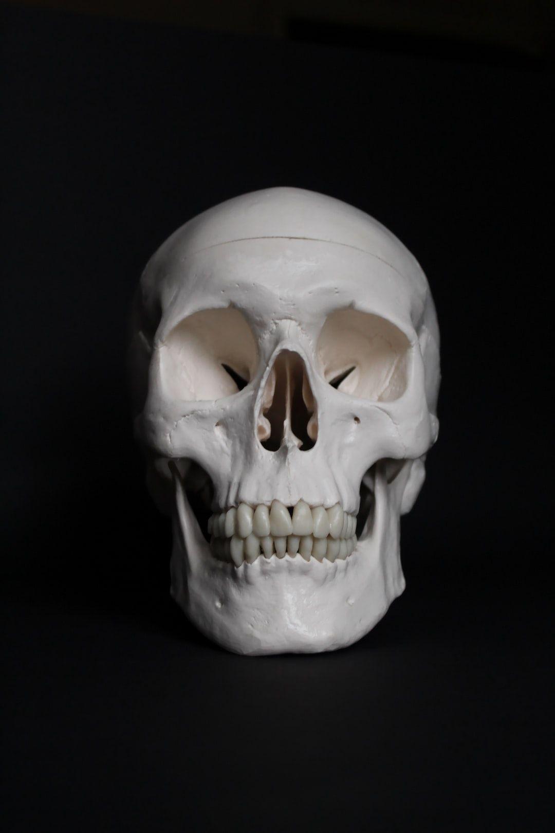 1080x1620 Skull Picture. Download Free Image