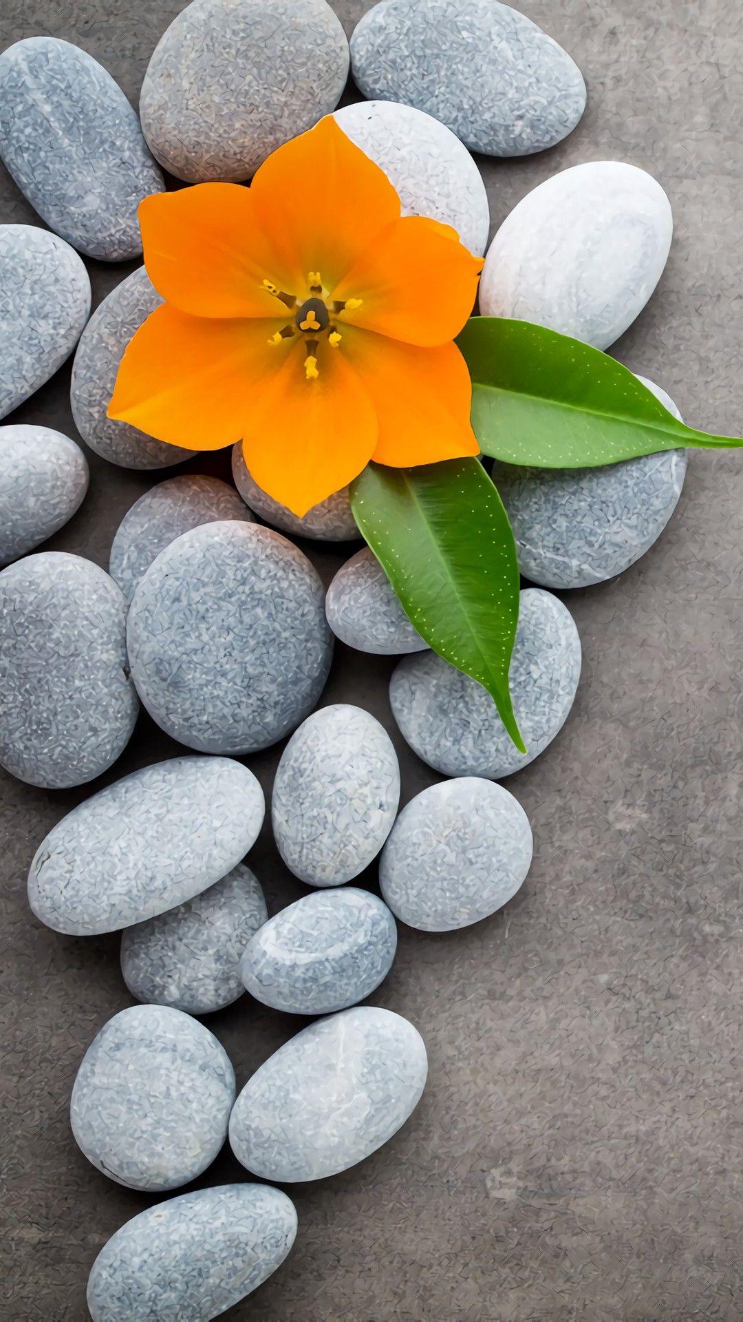 1080x1920 Spa Wallpaper - [1080x1920]. Love wallpaper background, Zen wallpaper, Beautiful flowers wallpaper