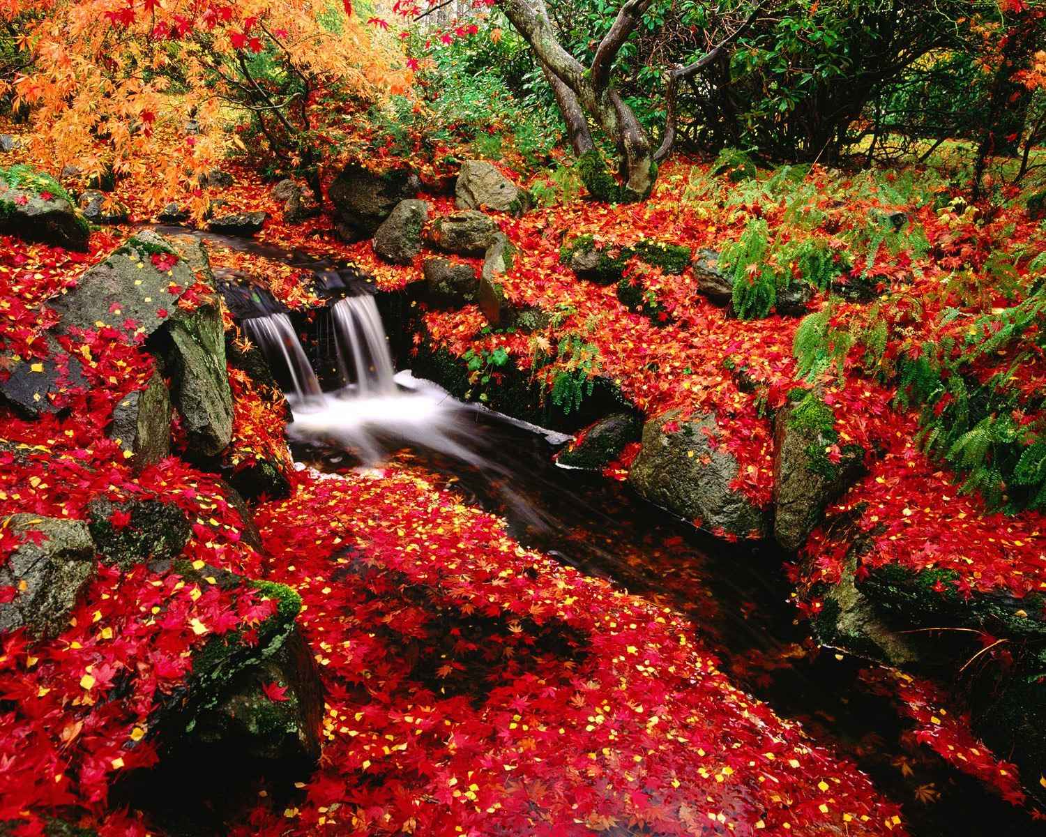 1500x1200 Japanese Flower Garden Wallpaper Japan Flower Garden 3D Wallpaper