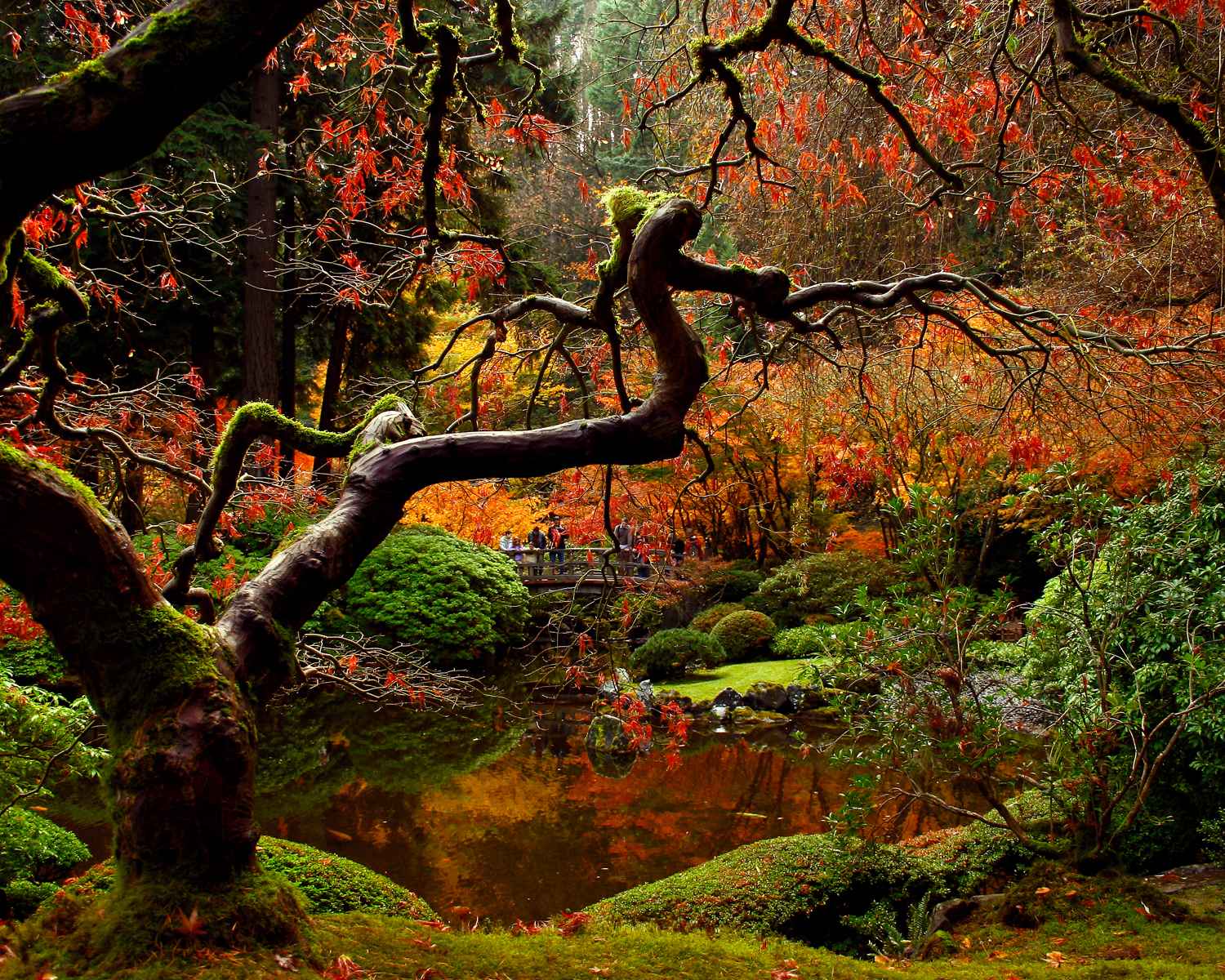 1500x1200 Autumn Japanese Garden Wallpaper 1920x1200 Wallpaper 3D For Desktop