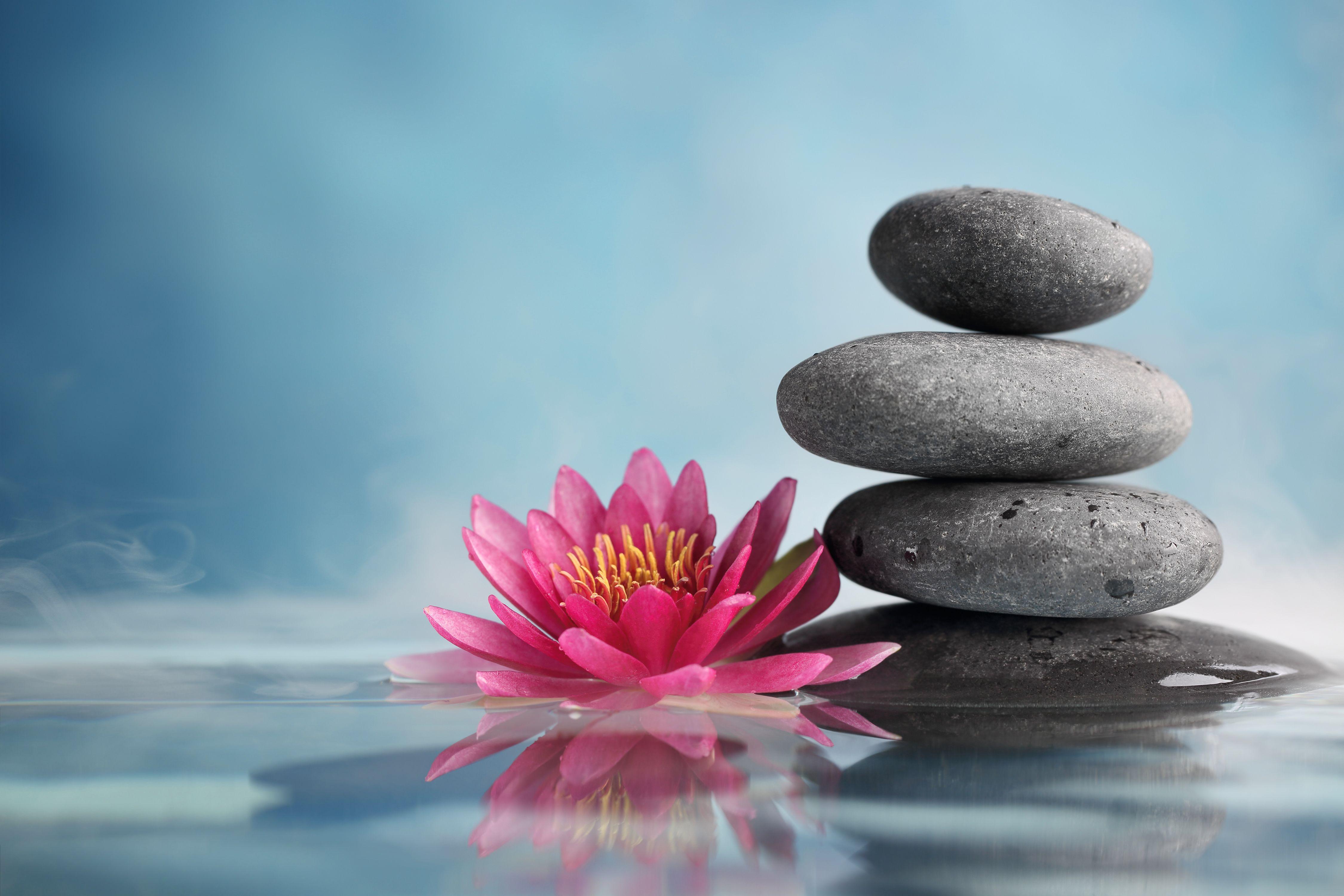 4500x3000 Spa Background With Lotus Flower Quality Image And Transparent PNG Free Clipart