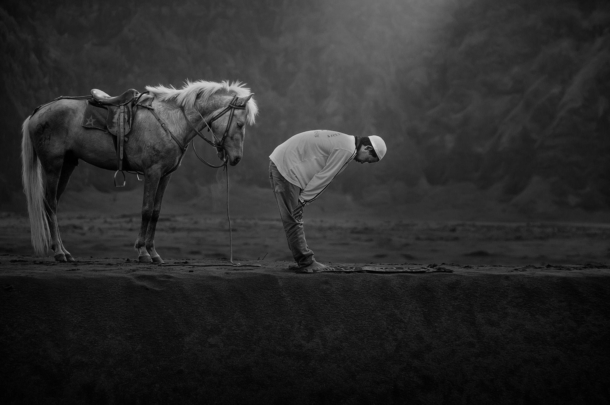 2000x1328 horse, Animals, Men, Praying, Islam, Indonesia Wallpaper HD / Desktop and Mobile Background