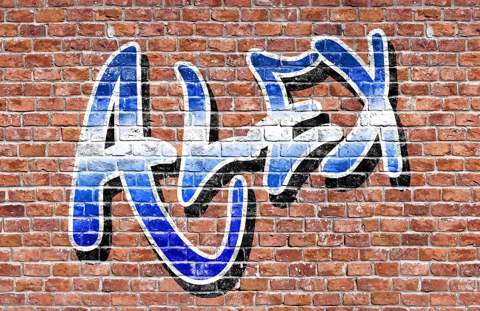 1650x1100 Graffiti Wallpaper. Unique Wall Art Murals