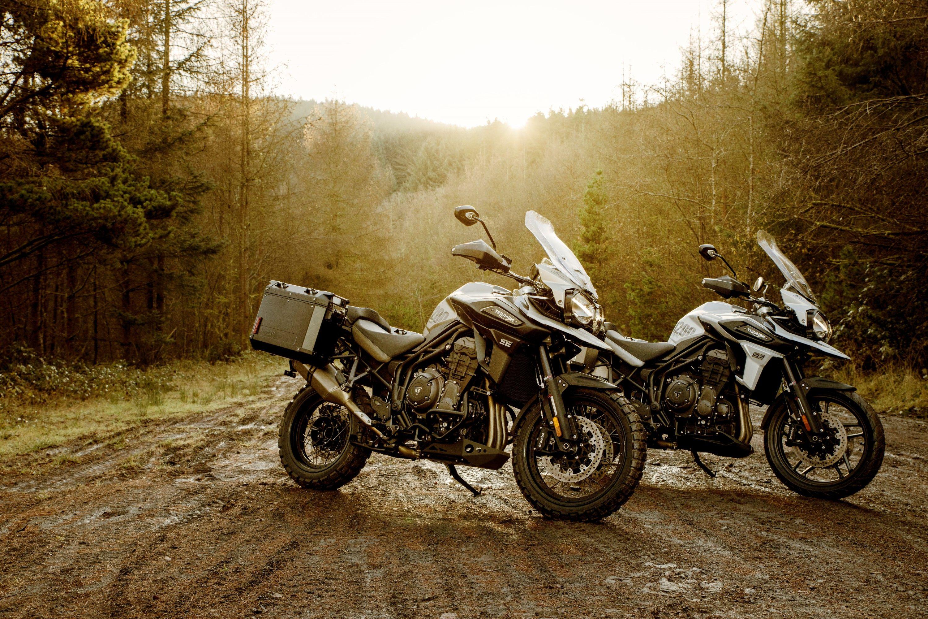 3000x2000 Triumph Gave Their Swashbuckler Tiger 1200 Machine Two Special Editions For 2020 Picture, Photo, Wallpaper