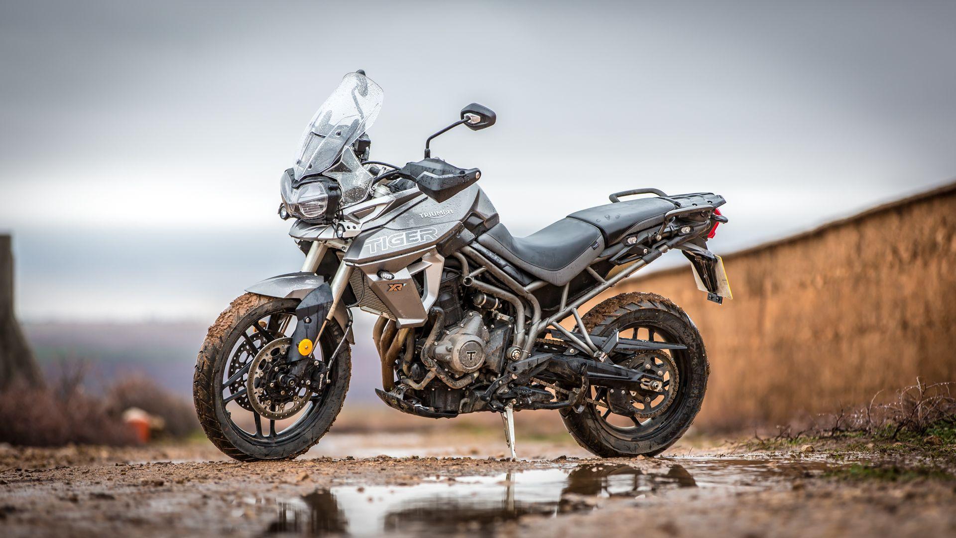1920x1080 Tag Per Triumph : New 2019 Triumph Tiger 800 Xrt Motorcycle In Denver 18t81 Erico 2016 Explorer Review. 1200 Wallpaper 2018 Launch Ride Review Bikewale Xrt. 2017 Xcx Walkaround Eicma Milan 2015 Xrx The Obsession