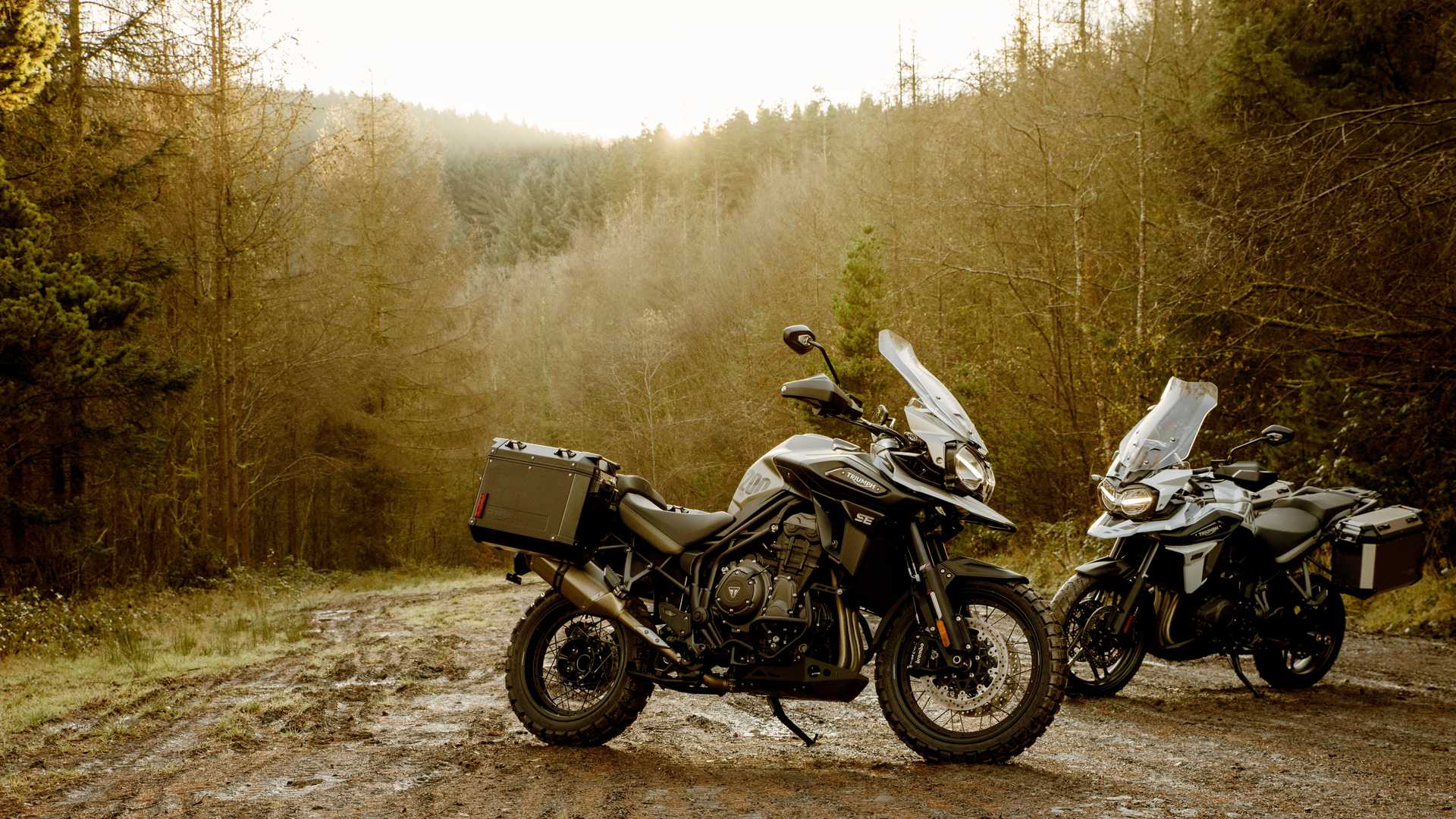 1920x1080 Triumph Releases Two Special Edition 1200 Tigers For 2020