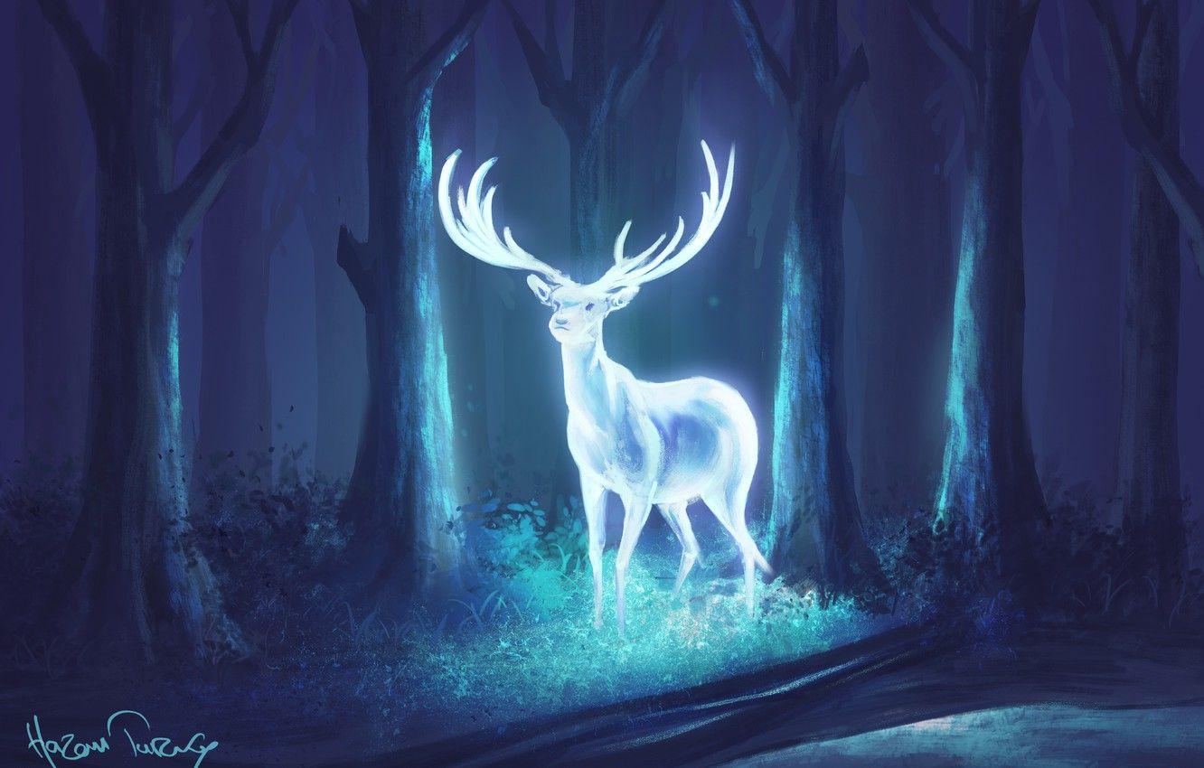 1332x850 Wallpaper forest, night, deer, fantasy, art, horns image for desktop, section фантастика