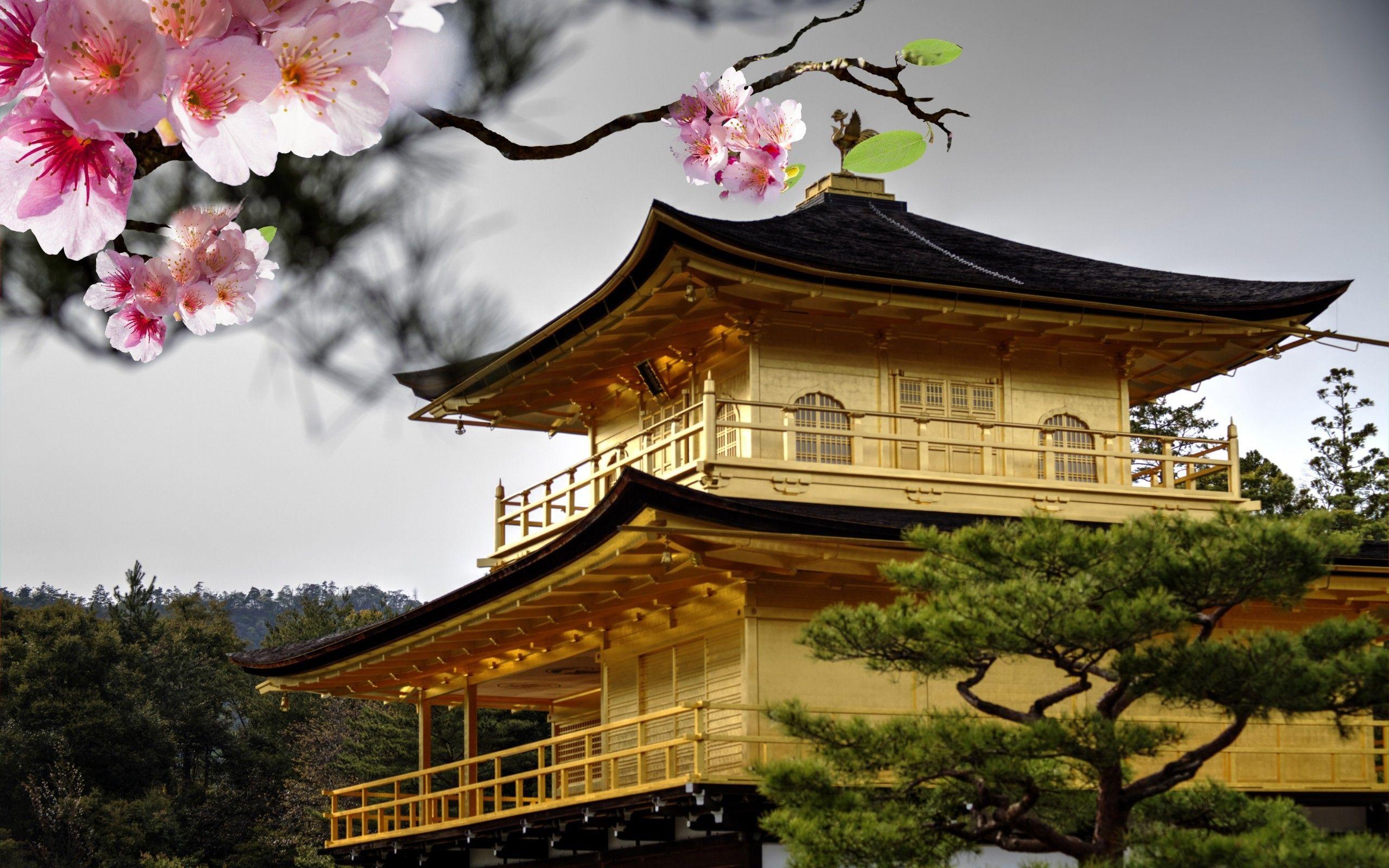2560x1600 Flowers: Nature Japan Flowers Trees Sakura Wallpaper In 3D for HD