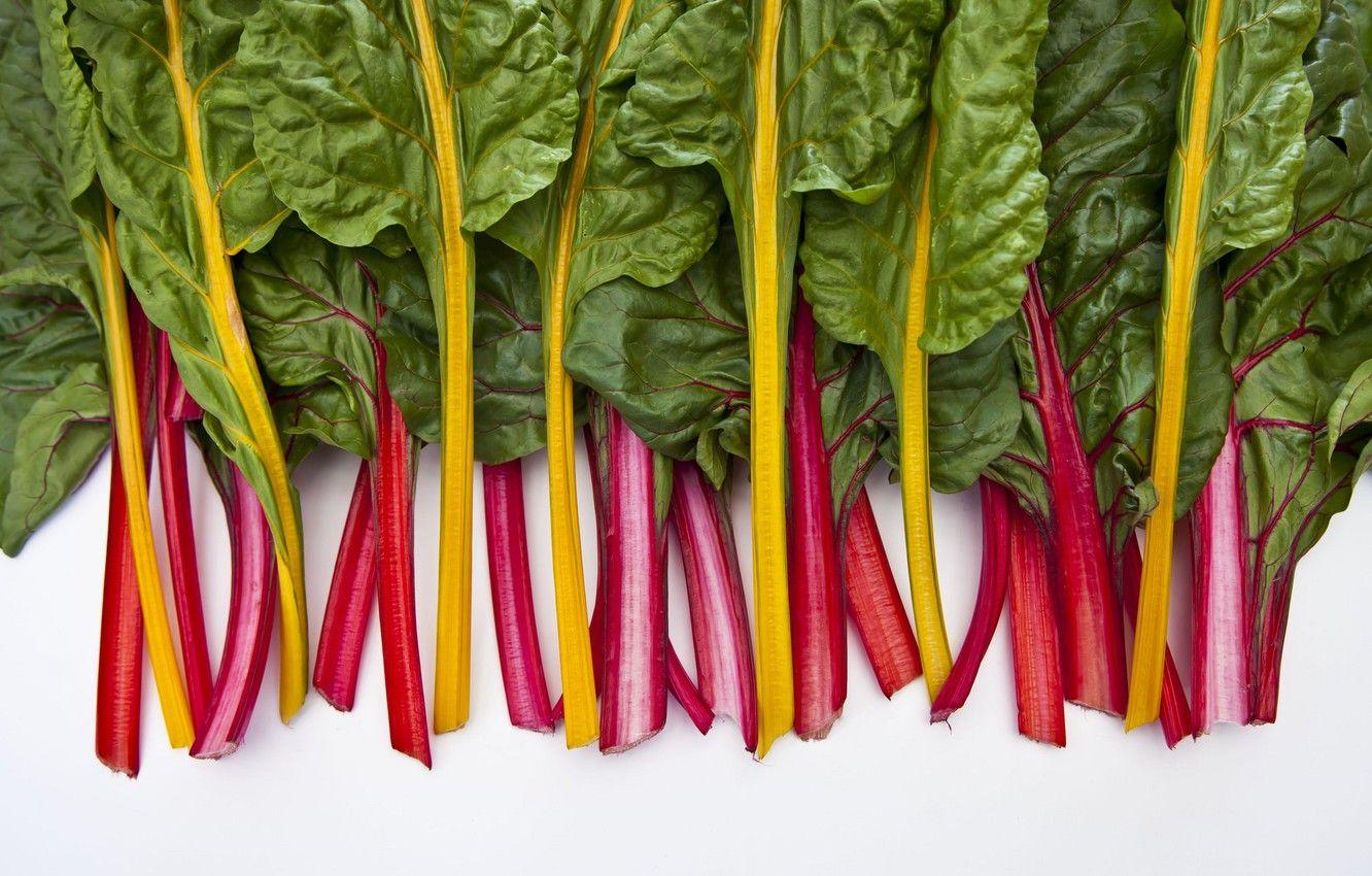 1332x850 Wallpaper background, Homegrown chard, veggie patch image for desktop, section еда