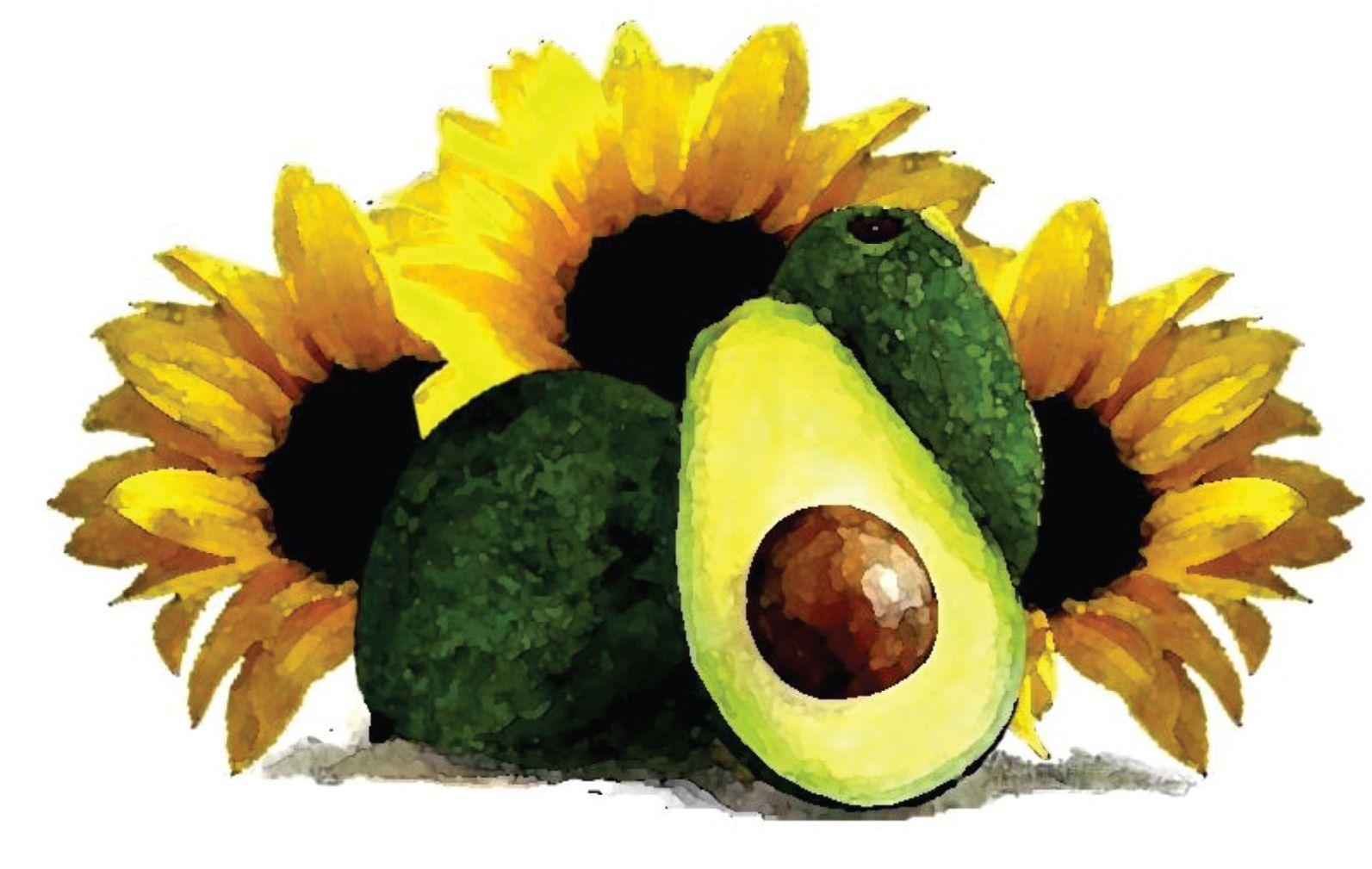 1593x1009 Desktop Fruit And Veggie Wallpaper. Phantom Forest Blog