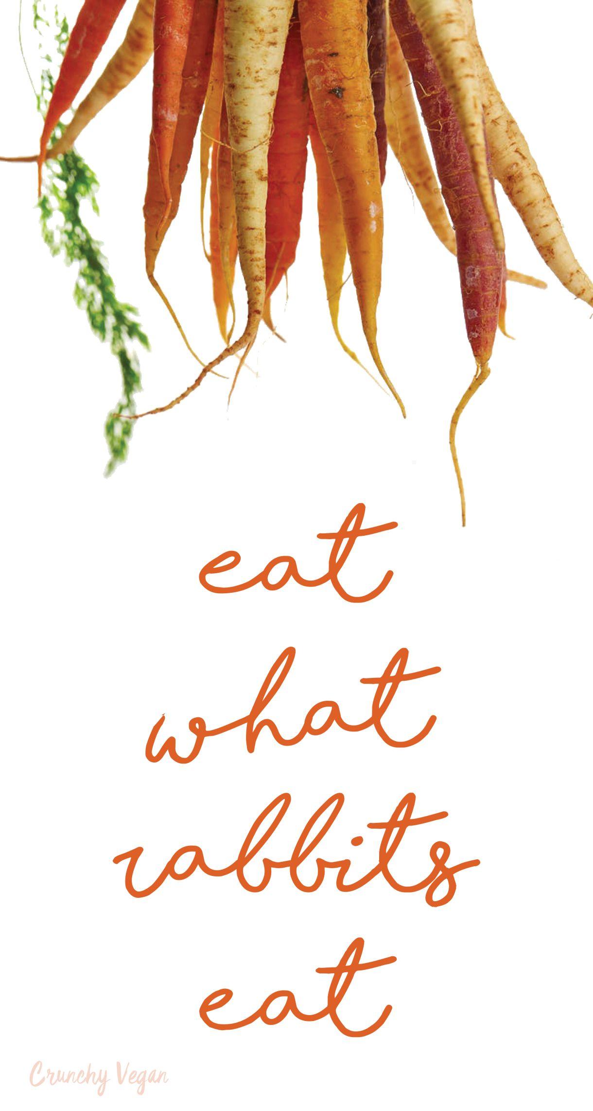 1220x2283 vegan rabbit food phone wallpaper from Crunchy Vegan. Vegan, Rabbit food, Food