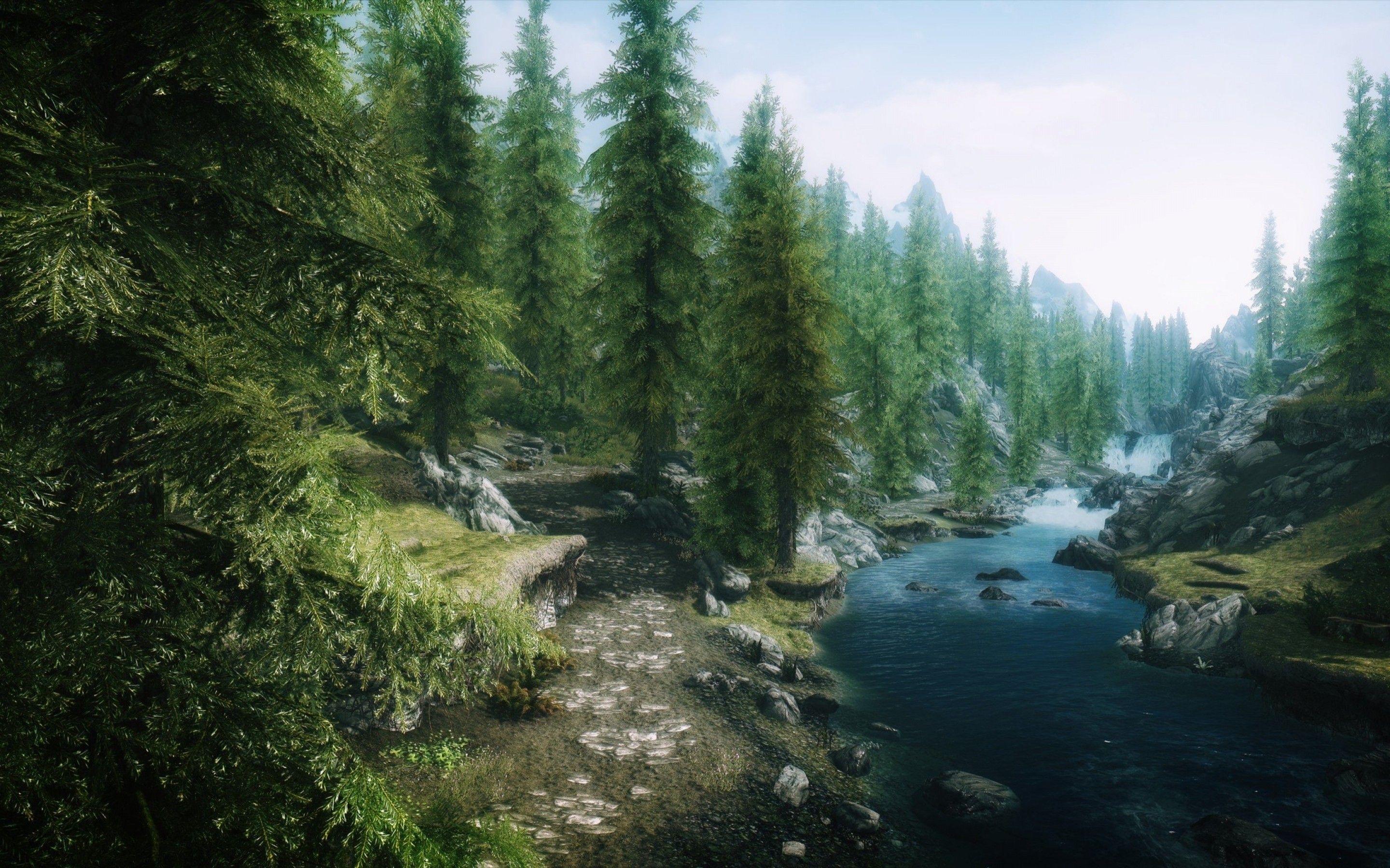 1080 максимальное разрешение. Скурим 2. The Elder Scrolls 5: Skyrim лес. Горный пейзаж скайрим.