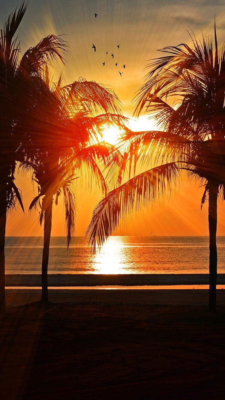 750x1334 Beach Vacation Summer Night Sunset Red Palm Tree