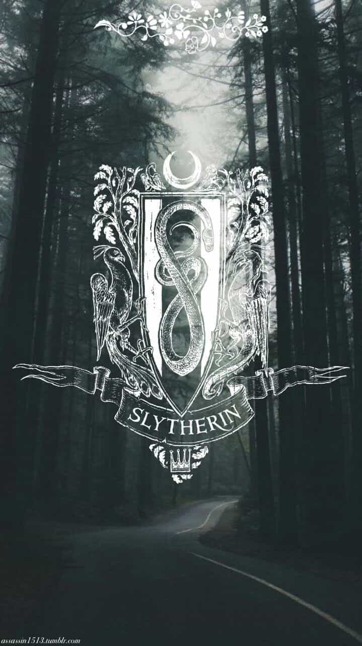 719x1280 image about I'm a Slytherclaw