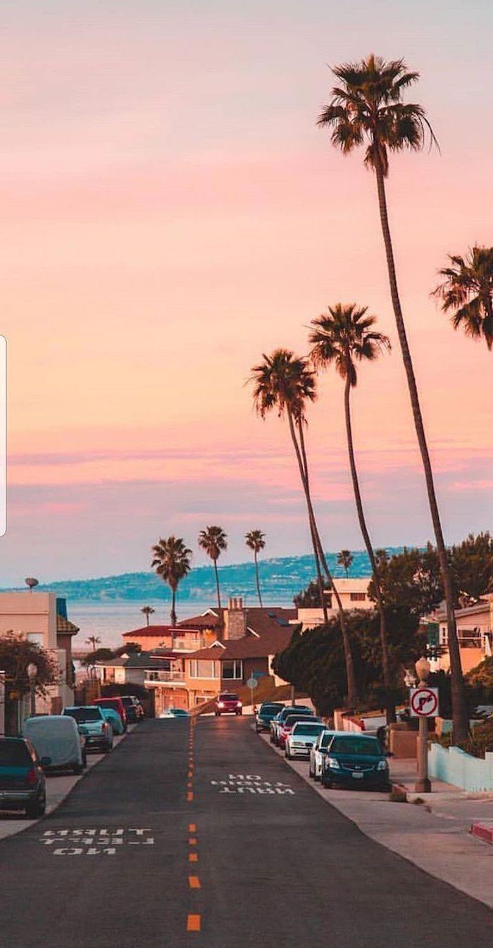 700x1345 Street Houses Sunset Cars Cute Wallpaper Tall Palm Trees Waves. Tree Wallpaper Iphone, Wallpaper Iphone Summer, Unique Iphone Wallpaper