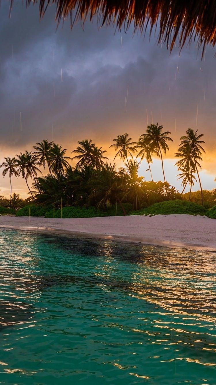 750x1334 Beach, Palm Trees, Ocean, Sunset 750x1334 IPhone 8 7 6 6S Wallpaper, Background, Picture, Image