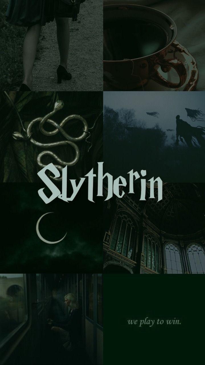 Slytherclaw Wallpapers - Top Free Slytherclaw Backgrounds - WallpaperAccess