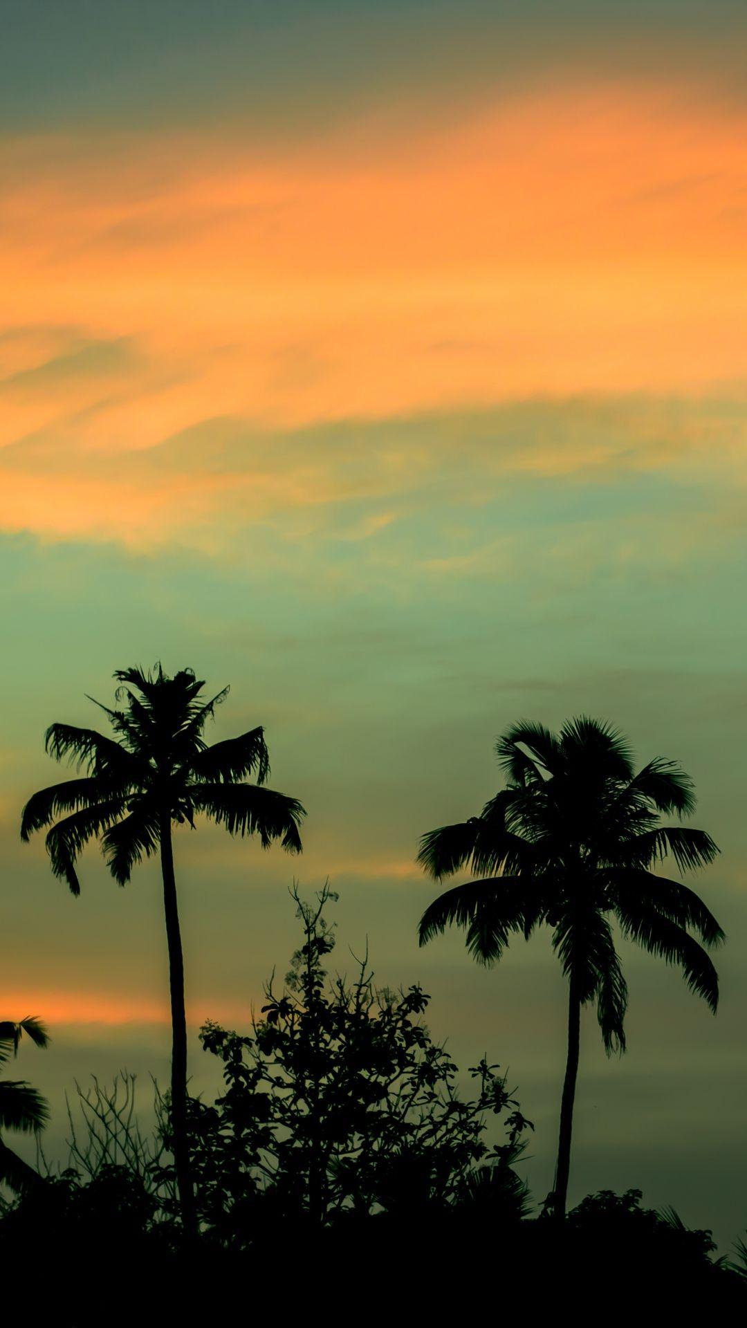 Palm Sunset iPhone Wallpapers - Top Free Palm Sunset iPhone Backgrounds ...