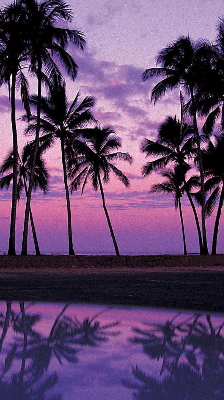 750x1334 iPhone Sunset Wallpaper Palm Tree