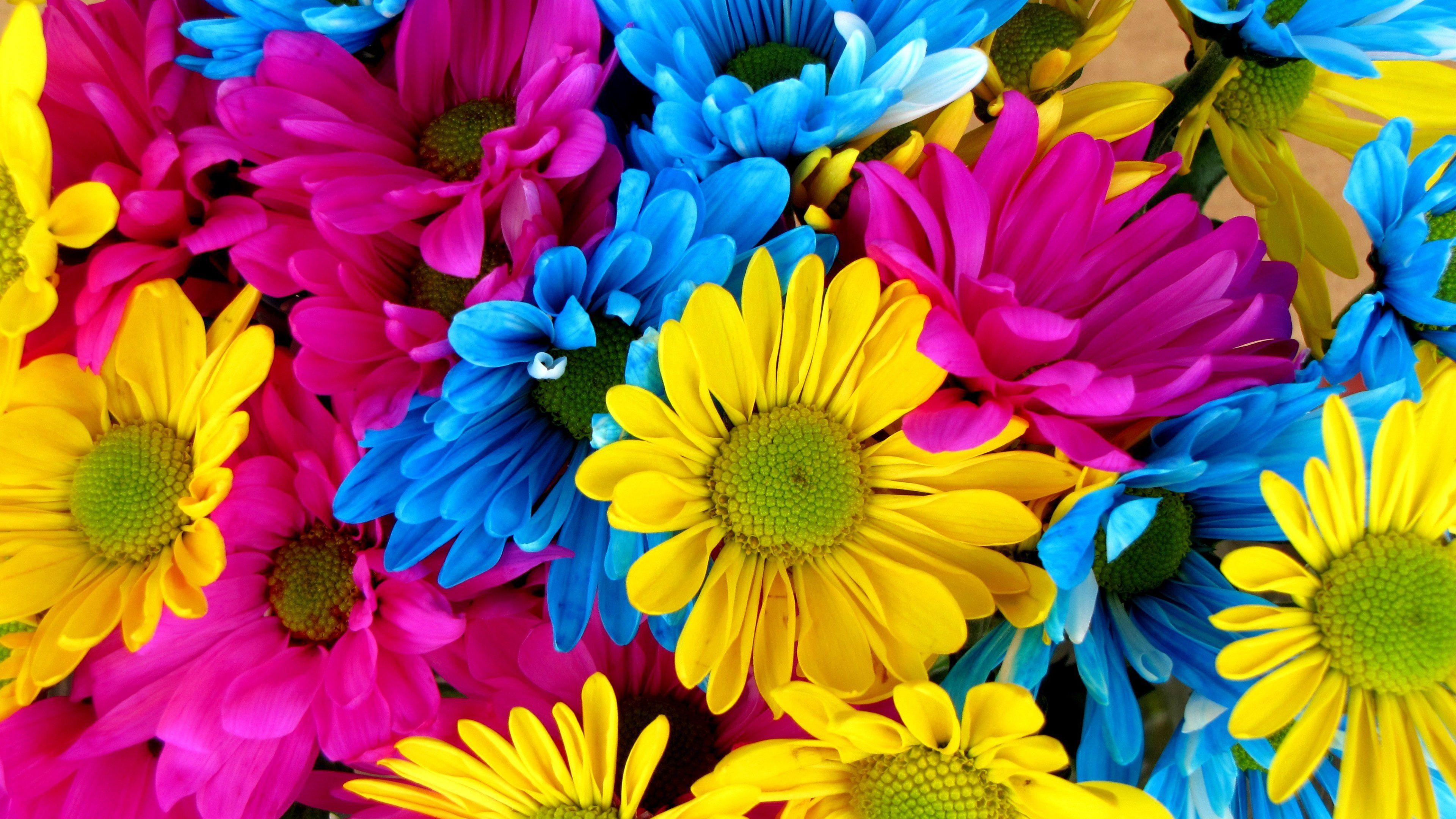3840x2160 Colorful 4k Wallpaper HD Wallpaper
