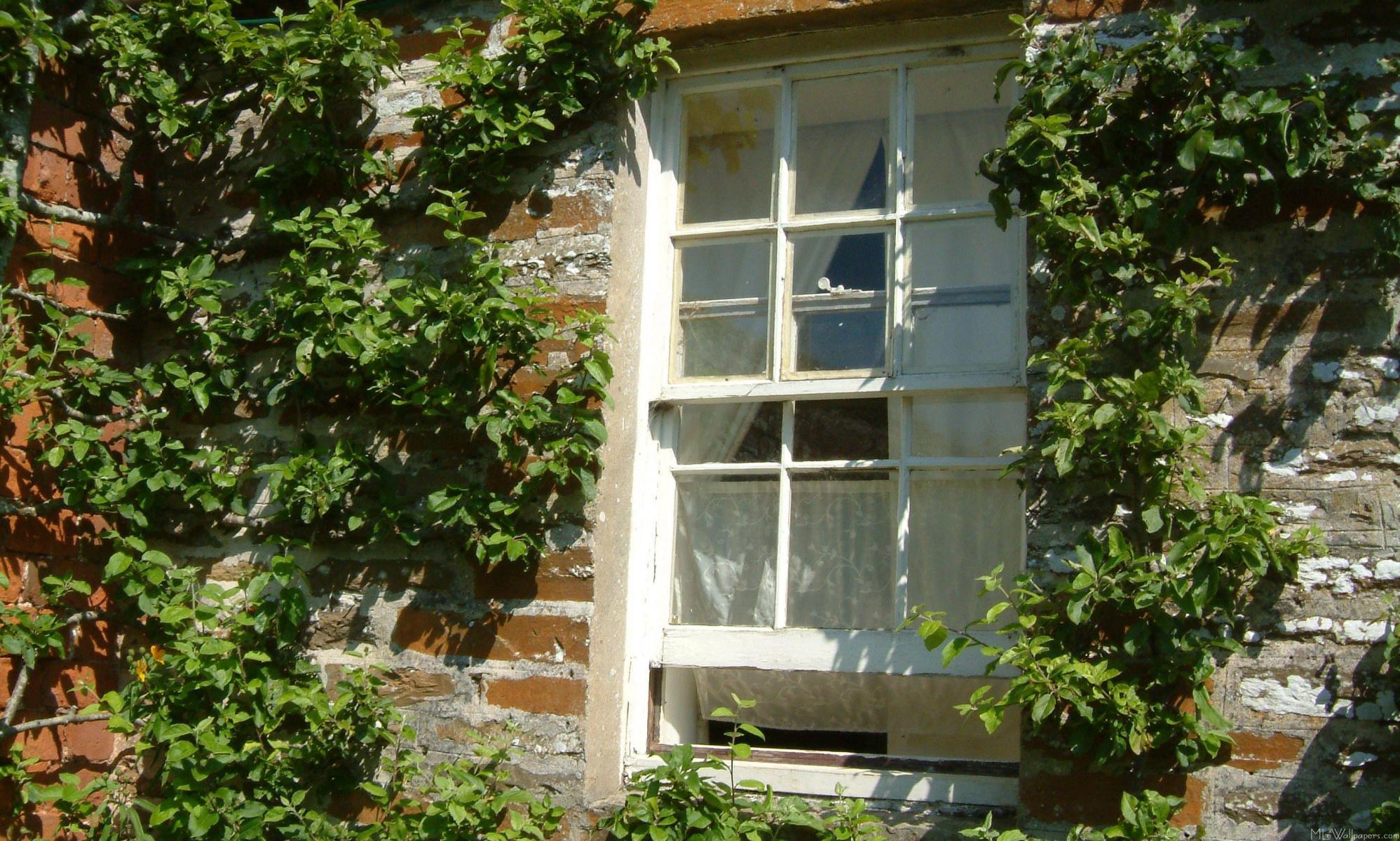 1997x1200 MLeWallpaper.com Cottage I