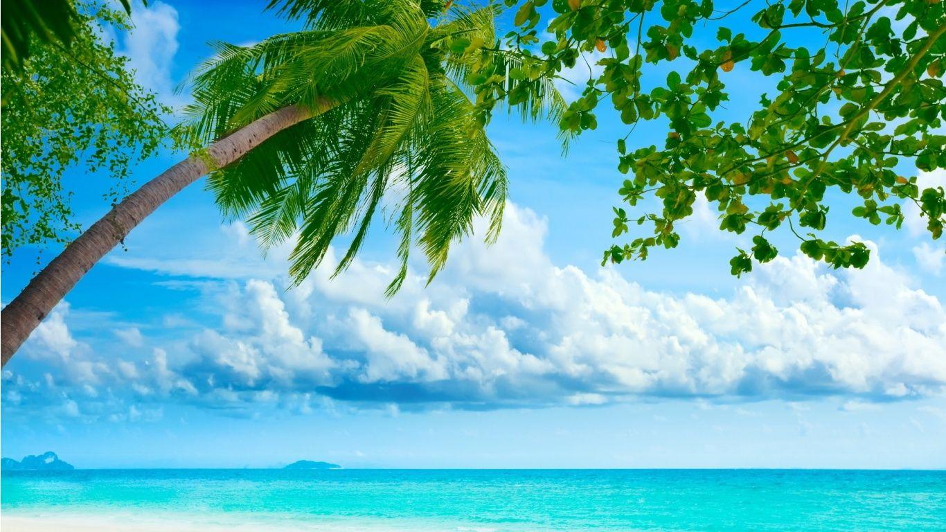 1366x768 Natural Scene Wallpaper Daownload HD Views Picture