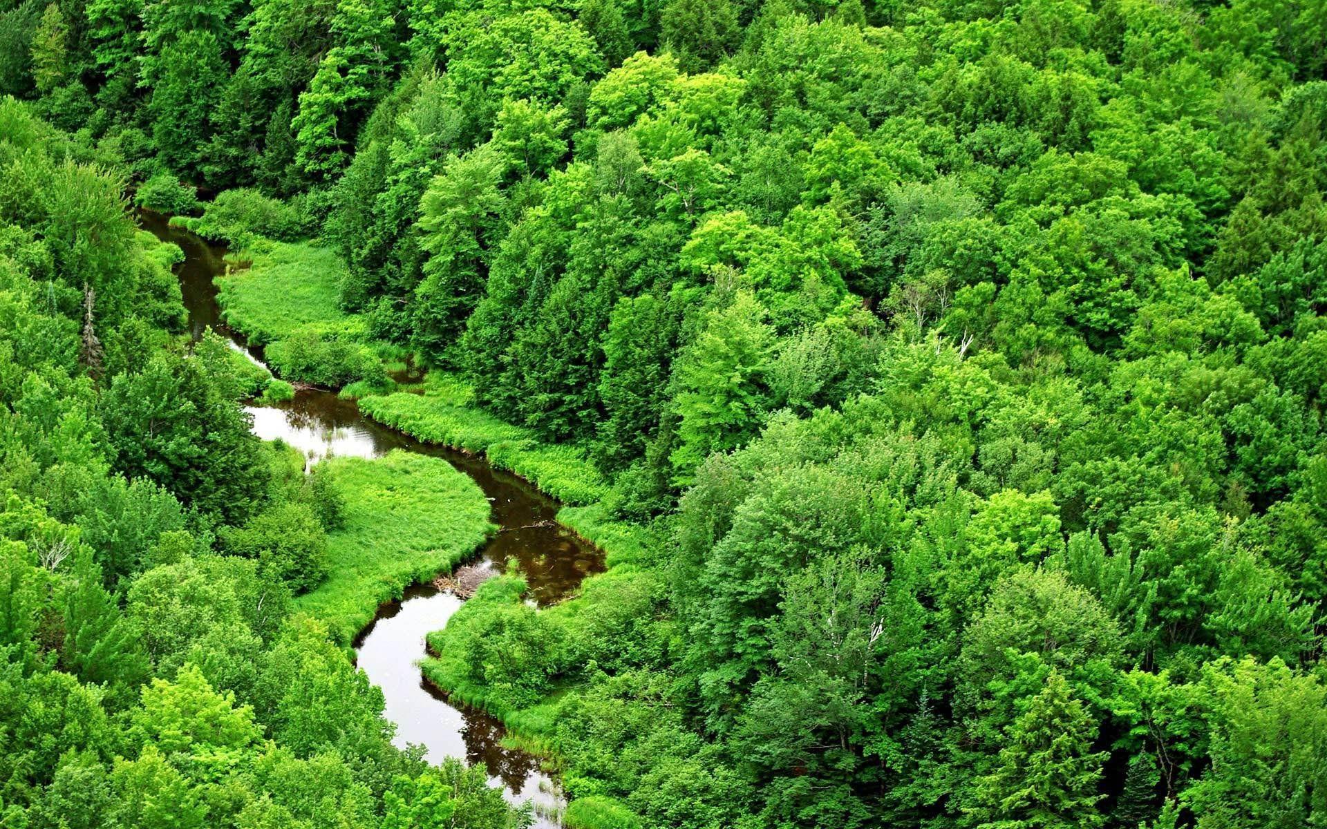HD Environment Wallpapers - Top Free HD Environment Backgrounds - WallpaperAccess HD Environment Wallpapers - Top Free HD Environment Backgrounds - WallpaperAccess